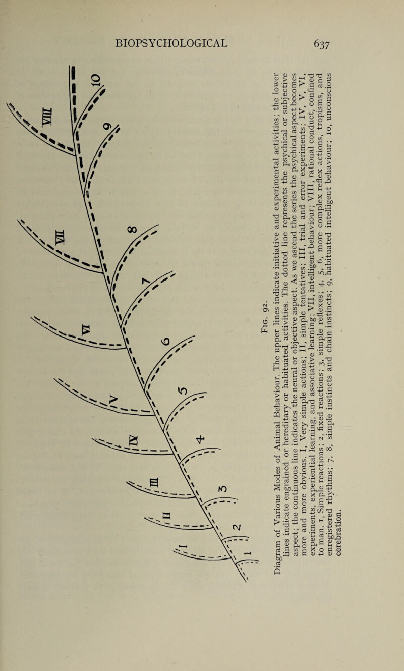 ^ VL/ g +3 a o O o 1 <u o 4-> 3 +J co 73 w 5-1 o <D O P-< *rs w rS 73 •»H .ZL Co 4-» O rt g-P Tj C/l Jx g P-l CO c O ^ g 4-> ,a 4-> C CO S ^ w £g-S  2 s 73 Oh CD n (T) rf a3 5-1 4-> U D T) > c a ■•g- 8 S-p o £ co 8 si •fH • M 73 H o p a> N 'ri »i g a; -g rt • C'H J) o & > > tJ -P in +3 +-> <u g o o, P CD S^T3 fa 3 O O fa p <u .y C P Tl •S^l a> p < u <4-1 P ° _. o CO a) CO P'H O O g p faH Vh -h S bo.g 2 m a o <u S •r-< +J a3 <u .g 23 -5 ^ fa-< C ij O- tj H CO 0 a g p P g CO p bo p > more and more obvious. I, Very simple actions; II, simple tentatives; III, trial and error experiments; IV, V, VI, experiments, experiential learning, and associative learning; VII, intelligent behaviour; VIII, rational conduct, confined to man. 1, Simple reactions; 2, fixed reactions; 3, simple reflexes; 4, 5, 6, more complex reflex actions, tropisms, and enregistered rhythms; 7, 8, simple instincts and chain instincts; 9, habituated intelligent behaviour; 10, unconscious cerebration.