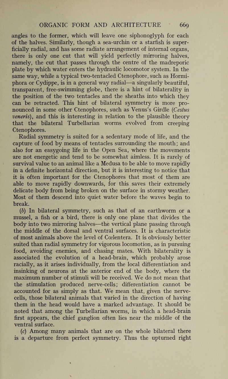 angles to the former, which will leave one siphonoglyph for each of the halves. Similarly, though a sea-urchin or a starfish is super¬ ficially radial, and has some radiate arrangement of internal organs, there is only one cut that will yield perfectly mirroring halves, namely, the cut that passes through the centre of the madreporic plate by which water enters the hydraulic locomotor system. In the same way, while a typical two-tentacled Ctenophore, such as Hormi- phora or Cydippe, is in a general way radial—a singularly beautiful, transparent, free-swimming globe, there is a hint of bilaterality in the position of the two tentacles and the sheaths into which they can be retracted. This hint of bilateral symmetry is more pro¬ nounced in some other Ctenophores, such as Venus's Girdle (Cestus veneris), and this is interesting in relation to the plausible theory that the bilateral Turbellarian worms evolved from creeping Ctenophores. Radial symmetry is suited for a sedentary mode of life, and the capture of food by means of tentacles surrounding the mouth; and also for an easygoing life in the Open Sea, where the movements are not energetic and tend to be somewhat aimless. It is rarely of survival value to an animal like a Medusa to be able to move rapidly in a definite horizontal direction, but it is interesting to notice that it is often important for the Ctenophores that most of them are able to move rapidly downwards, for this saves their extremely delicate body from being broken on the surface in stormy weather. Most of them descend into quiet water before the waves begin to break. (b) In bilateral symmetry, such as that of an earthworm or a mussel, a fish or a bird, there is only one plane that divides the body into two mirroring halves—the vertical plane passing through the middle of the dorsal and ventral surfaces. It is characteristic of most animals above the level of Coelentera. It is obviously better suited than radial symmetry for vigorous locomotion, as in pursuing food, avoiding enemies, and chasing mates. With bilaterality is associated the evolution of a head-brain, which probably arose racially, as it arises individually, from the local differentiation and insinking of neurons at the anterior end of the body, where the maximum number of stimuli will be received. We do not mean that the stimulation produced nerve-cells; differentiation cannot be accounted for as simply as that. We mean that, given the nerve- cells, those bilateral animals that varied in the direction of having them in the head would have a marked advantage. It should be noted that among the Turbellarian worms, in which a head-brain first appears, the chief ganglion often lies near the middle of the ventral surface. (c) Among many animals that are on the whole bilateral there is a departure from perfect symmetry. Thus the upturned right
