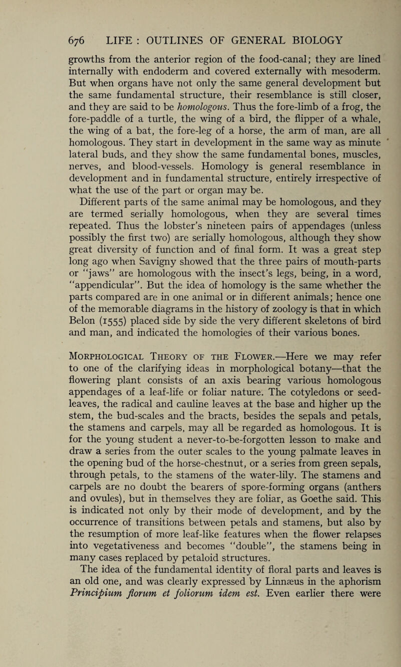 growths from the anterior region of the food-canal; they are lined internally with endoderm and covered externally with mesoderm. But when organs have not only the same general development but the same fundamental structure, their resemblance is still closer, and they are said to be homologous. Thus the fore-limb of a frog, the fore-paddle of a turtle, the wing of a bird, the flipper of a whale, the wing of a bat, the fore-leg of a horse, the arm of man, are all homologous. They start in development in the same way as minute lateral buds, and they show the same fundamental bones, muscles, nerves, and blood-vessels. Homology is general resemblance in development and in fundamental structure, entirely irrespective of what the use of the part or organ may be. Different parts of the same animal may be homologous, and they are termed serially homologous, when they are several times repeated. Thus the lobster’s nineteen pairs of appendages (unless possibly the first two) are serially homologous, although they show great diversity of function and of final form. It was a great step long ago when Savigny showed that the three pairs of mouth-parts or “jaws” are homologous with the insect’s legs, being, in a word, “appendicular”. But the idea of homology is the same whether the parts compared are in one animal or in different animals; hence one of the memorable diagrams in the history of zoology is that in which Belon (1555) placed side by side the very different skeletons of bird and man, and indicated the homologies of their various bones. Morphological Theory of the Flower.—Here we may refer to one of the clarifying ideas in morphological botany—that the flowering plant consists of an axis bearing various homologous appendages of a leaf-life or foliar nature. The cotyledons or seed- leaves, the radical and cauline leaves at the base and higher up the stem, the bud-scales and the bracts, besides the sepals and petals, the stamens and carpels, may all be regarded as homologous. It is for the young student a never-to-be-forgotten lesson to make and draw a series from the outer scales to the young palmate leaves in the opening bud of the horse-chestnut, or a series from green sepals, through petals, to the stamens of the water-lily. The stamens and carpels are no doubt the bearers of spore-forming organs (anthers and ovules), but in themselves they are foliar, as Goethe said. This is indicated not only by their mode of development, and by the occurrence of transitions between petals and stamens, but also by the resumption of more leaf-like features when the flower relapses into vegetativeness and becomes “double”, the stamens being in many cases replaced by petaloid structures. The idea of the fundamental identity of floral parts and leaves is an old one, and was clearly expressed by Linnaeus in the aphorism Principium florum et foliorum idem est. Even earlier there were