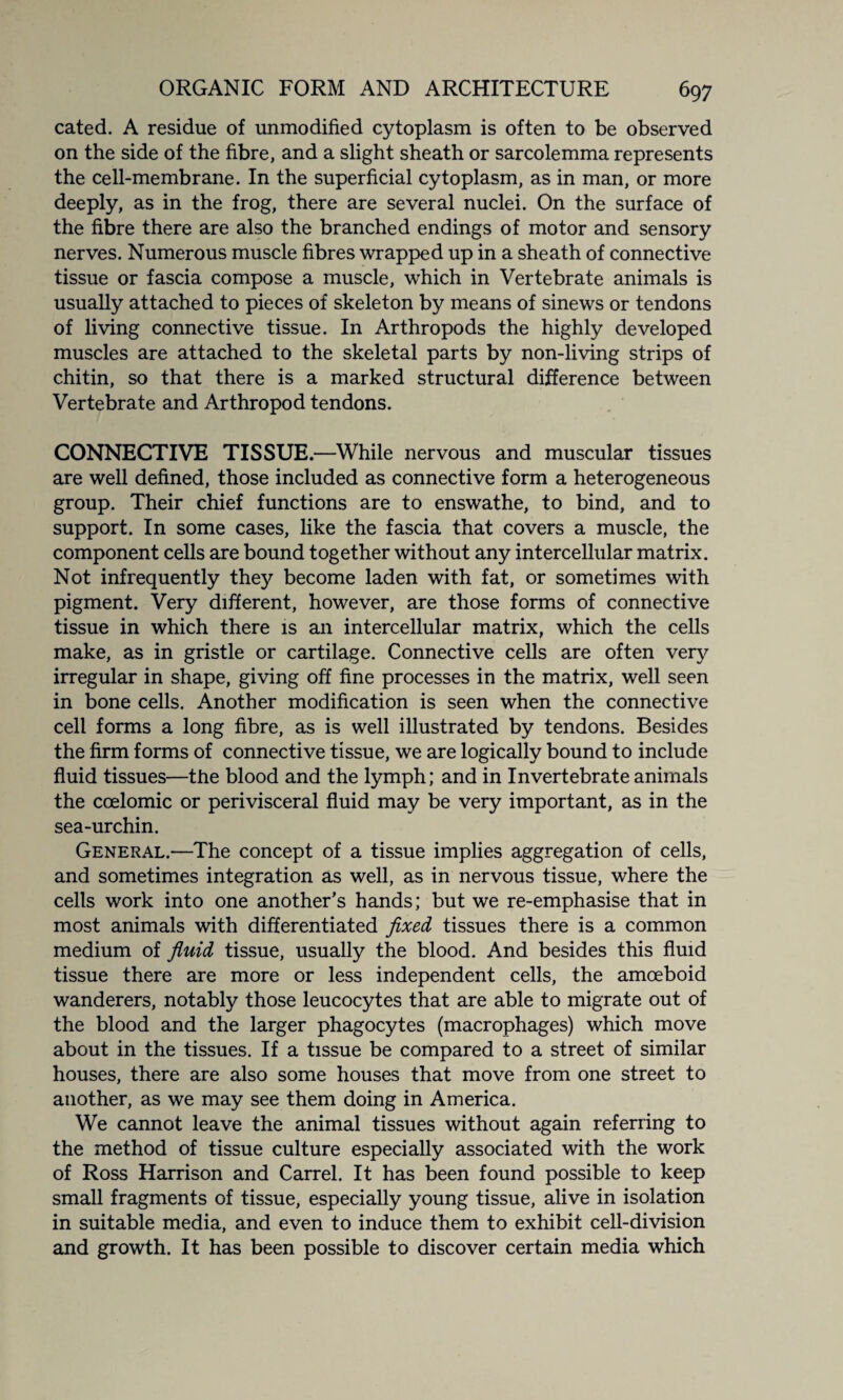 cated. A residue of unmodified cytoplasm is often to be observed on the side of the fibre, and a slight sheath or sarcolemma represents the cell-membrane. In the superficial cytoplasm, as in man, or more deeply, as in the frog, there are several nuclei. On the surface of the fibre there are also the branched endings of motor and sensory nerves. Numerous muscle fibres wrapped up in a sheath of connective tissue or fascia compose a muscle, which in Vertebrate animals is usually attached to pieces of skeleton by means of sinews or tendons of living connective tissue. In Arthropods the highly developed muscles are attached to the skeletal parts by non-living strips of chitin, so that there is a marked structural difference between Vertebrate and Arthropod tendons. CONNECTIVE TISSUE.—While nervous and muscular tissues are well defined, those included as connective form a heterogeneous group. Their chief functions are to enswathe, to bind, and to support. In some cases, like the fascia that covers a muscle, the component cells are bound together without any intercellular matrix. Not infrequently they become laden with fat, or sometimes with pigment. Very different, however, are those forms of connective tissue in which there is an intercellular matrix, which the cells make, as in gristle or cartilage. Connective cells are often very irregular in shape, giving off fine processes in the matrix, well seen in bone cells. Another modification is seen when the connective cell forms a long fibre, as is well illustrated by tendons. Besides the firm forms of connective tissue, we are logically bound to include fluid tissues—the blood and the lymph; and in Invertebrate animals the coelomic or perivisceral fluid may be very important, as in the sea-urchin. General.—The concept of a tissue implies aggregation of cells, and sometimes integration as well, as in nervous tissue, where the cells work into one another’s hands; but we re-emphasise that in most animals with differentiated fixed tissues there is a common medium of fluid tissue, usually the blood. And besides this fluid tissue there are more or less independent cells, the amoeboid wanderers, notably those leucocytes that are able to migrate out of the blood and the larger phagocytes (macrophages) which move about in the tissues. If a tissue be compared to a street of similar houses, there are also some houses that move from one street to another, as we may see them doing in America. We cannot leave the animal tissues without again referring to the method of tissue culture especially associated with the work of Ross Harrison and Carrel. It has been found possible to keep small fragments of tissue, especially young tissue, alive in isolation in suitable media, and even to induce them to exhibit cell-division and growth. It has been possible to discover certain media which