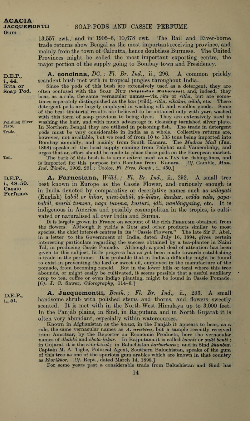 jacquemontii SOAP-PODS AND CASSIE PERFUME Gum 13,557 cwt., and in 1905-6, 10,678 cwt. The Rail and River-borne trade returns show Bengal as the most important receiving province, and mainly from the town of Calcutta, hence doubtless Burmese. The United Provinces might be called the most important exporting centre, the major portion of the supply going to Bombay town and Presidency. D.E.P., i., 44. Rita or Soap Pod. Polishing Silver Plate. Trade. Tan. A. coneinna, DC. ; FI. Br. Ind., ii., 296. A common prickly scandent bush met with in tropical jungles throughout India. Since the pods of this bush are extensively used as a detergent, they are often confused with the Soap Nut (Sapindus Muhorossi), and, indeed, they bear, as a rule, the same vernacular names—viz. rita or ritha, but are some¬ times separately distinguished as the ban (wild), ritha, sikakai, ailah, etc. These detergent pods are largely employed in washing silk and woollen goods. Some of the best tinctorial results are believed to be obtained only with yarn washed with this form of soap previous to being dyed. They are extensively used in washing the hair, and with much advantage in cleansing tarnished silver plate. In Northern Bengal they are utilised in poisoning fish. The trade in detergent pods must be very considerable in India as a whole. Collective returns are, however, not available, but we read of from 10 to 135 tons being imported into Bombay annually, and mainly from South Kanara. The Madras Mail (Jan. 1898) speaks of the local supply coming from Palghat and Vaniembaby, and urges that an effort should be made to place these pods on the European market. The bark of this bush is to some extent used as a Tan for fishing-lines, and is imported for this purpose into Bombay from Kanara. [Cf. Gamble, Man. Ind. Timbs., 1902, 291 ; Cooke, FI. Pres. Bomb., i., 450.] D.E.P., i., 48-50. Cassie Perfume. D.E.P., i., 51. A. Farnesiana, Willd. ; FI. Br. Ind., ii., 292. A small tree best known in Europe as the Cassie Flower, and curiously enough is in India denoted by comparative or descriptive names such as wilayati (English) babul or kikar, 'pissi-babul, gu-kikar, kankar, vedda vala, gaya- babul, murki tumma, naga tumma, kusturi, jdli, nanlongyaing, etc. It is indigenous in America and possibly cosmopolitan in the tropics, is culti¬ vated or naturalised all over India and Burma. It is largely grown in France on account of the rich Perfume obtained from the flowers. Although it yields a Gum and other products similar to most species, the chief interest centres in its “ Cassie Flowers.” The late Sir F. Abel, in a letter to the Government of India, dated July 16, 1894, gives certain interesting particulars regarding the success obtained by a tea-planter in Naini Tal, in producing Cassie Pomade. Although a good deal of attention has been given to this subject, little progress has as yet been made towards establishing a trade in the perfume. It is probable that in India a difficulty might be found to exist in preventing the lard or sweet oil, employed in the manufacture of the pomade, from becoming rancid. But in the lower hills or terai where this tree abounds, or might easily be cultivated, it seems possible that a useful auxiliary crop to tea, coffee or even indigo planting, might be found in Cassie Pomade. [Cf. J. C. Sawer, Odorography, 114-6.] A. Jacquemontii, Benth. ; FI. Br. Ind., ii., 293. A small handsome shrub with polished stems and thorns, and flowers sweetly scented. It is met with in the North-West Himalaya up to 3,000 feet. In the Panjab plains, in Sind, in Rajputana and in North Gujarat it is often very abundant, especially within watercourses. Known in Afghanistan as the hanza, in the Panjab it appears to bear, as a rule, the same vernacular names as a. arabica, but a sample recently received from Amritsar, by the Reporter on Economic Products, bore the vernacular names of dhakki and chota-kikar. In Rajputana it is called baonli or gulli bonli ; in Gujarat it is the rata-bdval; in Baluchistan harbarbara ; and in Sind khunbut. Captain M. A. Tighe, Political Agent, Southern Baluchistan, speaks of the gum of this tree as one of the spurious gum arabics which are known in that country as khorikhor. [Cf. Rept., dated March 14, 1898.] For some years past a considerable trade from Baluchistan and Sind has