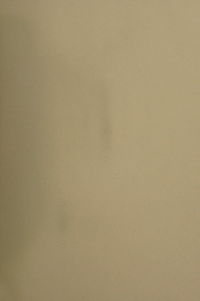 digitised image 3