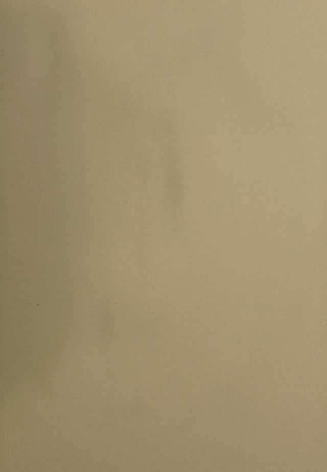 digitised image 3