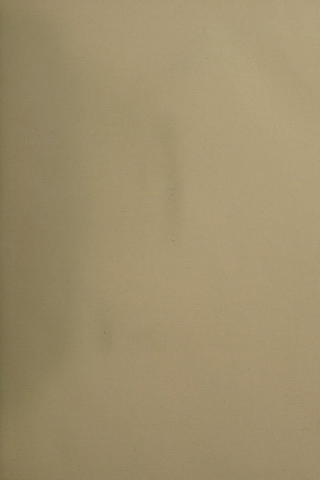 digitised image 3