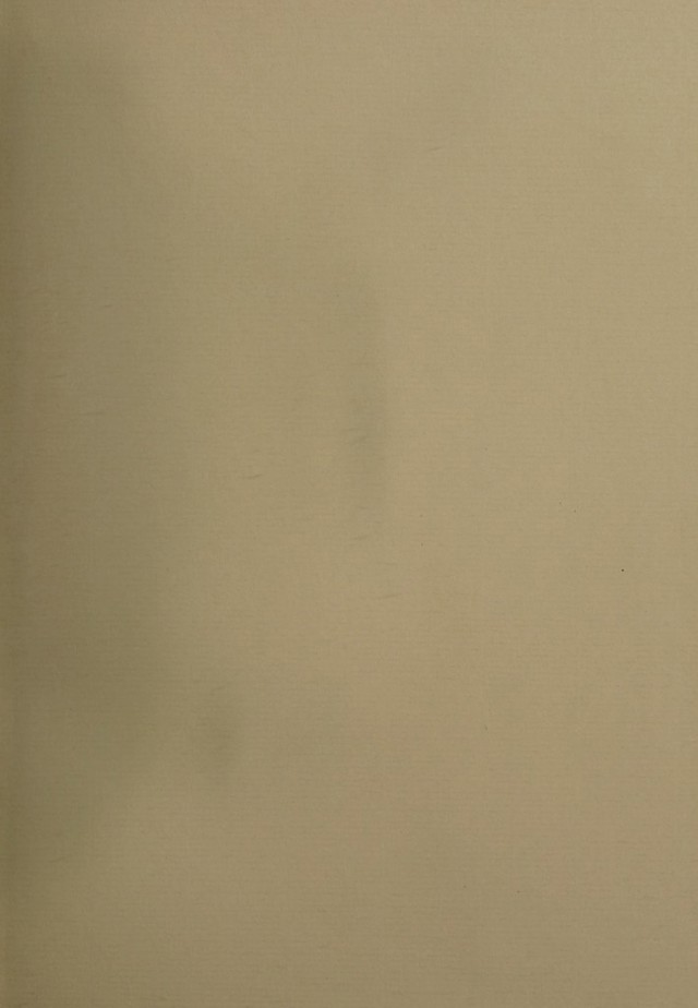 digitised image 3