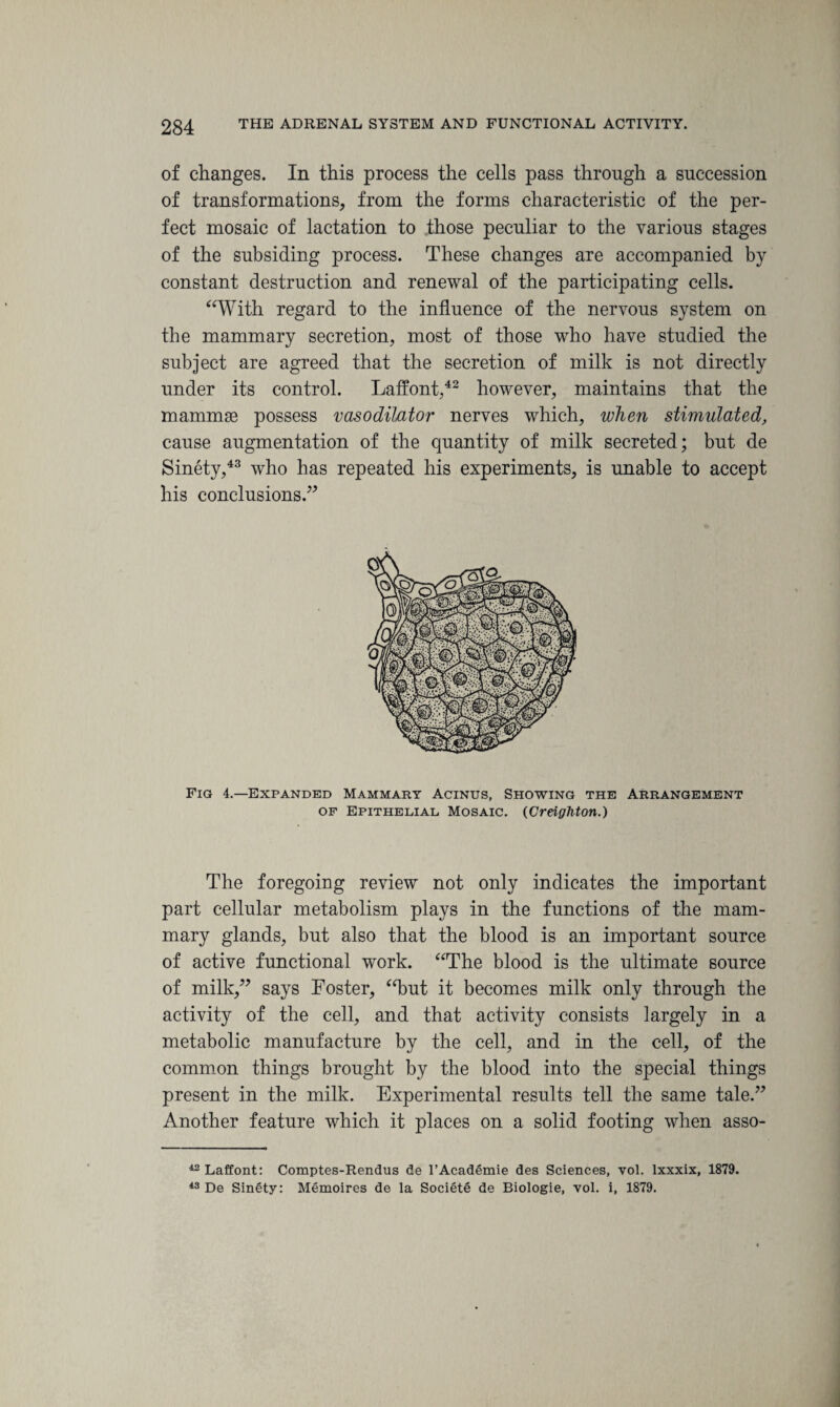 of changes. In this process the cells pass through a succession of transformations, from the forms characteristic of the per¬ fect mosaic of lactation to those peculiar to the various stages of the subsiding process. These changes are accompanied by constant destruction and renewal of the participating cells. “With regard to the influence of the nervous system on the mammary secretion, most of those who have studied the subject are agreed that the secretion of milk is not directly under its control. Laffont,42 however, maintains that the mammae possess vasodilator nerves which, when stimulated, cause augmentation of the quantity of milk secreted; but de Sinety,43 who has repeated his experiments, is unable to accept his conclusions.” Fig 4.—Expanded Mammary Acinus, Showing the Arrangement of Epithelial Mosaic. (Creighton.) The foregoing review not only indicates the important part cellular metabolism plays in the functions of the mam¬ mary glands, but also that the blood is an important source of active functional work. “The blood is the ultimate source of milk,” says Foster, “but it becomes milk only through the activity of the cell, and that activity consists largely in a metabolic manufacture by the cell, and in the cell, of the common things brought by the blood into the special things present in the milk. Experimental results tell the same tale.” Another feature which it places on a solid footing when asso- 42 Laffont: Comptes-Rendus de l’Academie des Sciences, vol. lxxxix, 1879.