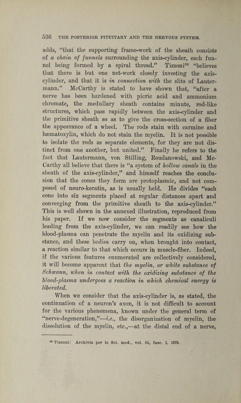 adds, “that the supporting frame-work of the sheath consists of a chain of funnels surrounding the axis-cylinder, each fun¬ nel being formed by a spiral thread” Tizzoni35 “believes that there is but one net-work closely investing the axis- cylinder, and that it is in connection with the slits of Lauter- mann.” McCarthy is stated to have shown that, “after a nerve has been hardened with picric acid and ammonium chromate, the medullary sheath contains minute, rod-like structures, which pass rapidly between the axis-cylinder and the primitive sheath so as to give the cross-section of a fiber the appearance of a wheel. The rods stain with carmine and hiematoxylin, which do not stain the myelin. It is not possible to isolate the rods as separate elements, for they are not dis¬ tinct from one another, but united ” Finally he refers to the fact that Lautermann, von Stilling, Roudanowski, and Mc¬ Carthy all believe that there is “a system of hollow canals in the sheath of the axis-cylinder,” and himself reaches the conclu¬ sion that the cones they form are protoplasmic, and not com¬ posed of neuro-keratin, as is usually held. He divides “each cone into six segments placed at regular distances apart and converging from the primitive sheath to the axis-cylinder.” This is well shown in the annexed illustration, reproduced from his paper. If we now consider the segments as canaliculi leading from the axis-cylinder, we can readily see how the blood-plasma can penetrate the myelin and its oxidizing sub¬ stance, and these bodies carry on, when brought into contact, a reaction similar to that which occurs in muscle-fiber. Indeed, if the various features enumerated are collectively considered, it will become apparent that the myelin, or white substance of Schwann, when in contact with the oxidizing substance of the blood-plasma undergoes a reaction in which chemical energy is liberated. When we consider that the axis-cylinder is, as stated, the continuation of a neuron’s axon, it is not difficult to account for the various phenomena, known under the general term of “nerve-degeneration,”—i.e., the disorganization of myelin, the dissolution of the myelin, etc.,—at the distal end of a nerve, 35 Tizzoni: Archivio per le Sci. med., vol. iii, fasc. 1, 1878.