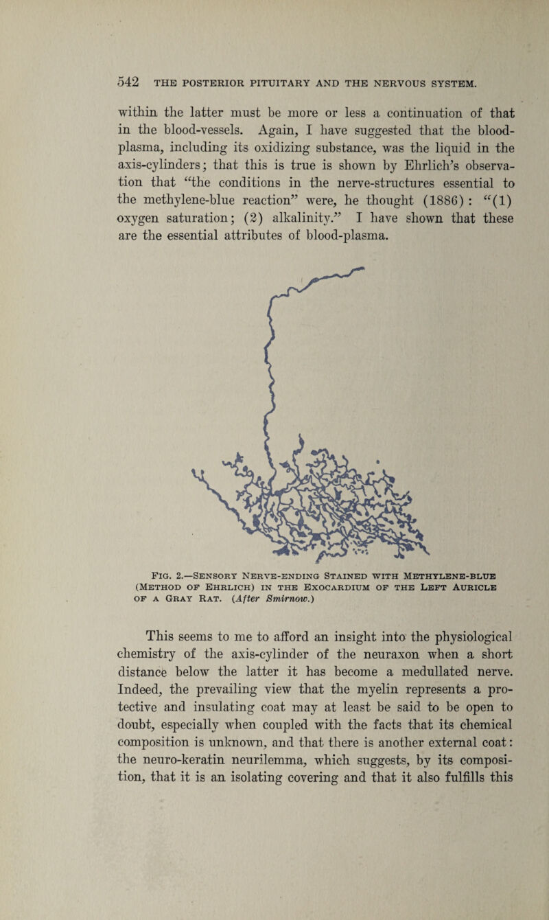 within the latter must be more or less a continuation of that in the blood-vessels. Again, I have suggested that the blood- plasma, including its oxidizing substance, was the liquid in the axis-cylinders; that this is true is shown by Ehrlich’s observa¬ tion that “the conditions in the nerve-structures essential to the methylene-blue reaction” were, he thought (1886) : “(1) oxygen saturation; (2) alkalinity.” I have shown that these are the essential attributes of blood-plasma. Fig. 2.—Sensory Nerve-ending Stained with Methylene-blue (Method of Ehrlich) in the Exocardium of the Left Auricle of a Gray Rat. (After Smirnow.) This seems to me to afford an insight into the physiological chemistry of the axis-cylinder of the neuraxon when a short distance below the latter it has become a medullated nerve. Indeed, the prevailing view that the myelin represents a pro¬ tective and insulating coat may at least be said to be open to doubt, especially when coupled with the facts that its chemical composition is unknown, and that there is another external coat: the neuro-keratin neurilemma, which suggests, by its composi¬ tion, that it is an isolating covering and that it also fulfills this