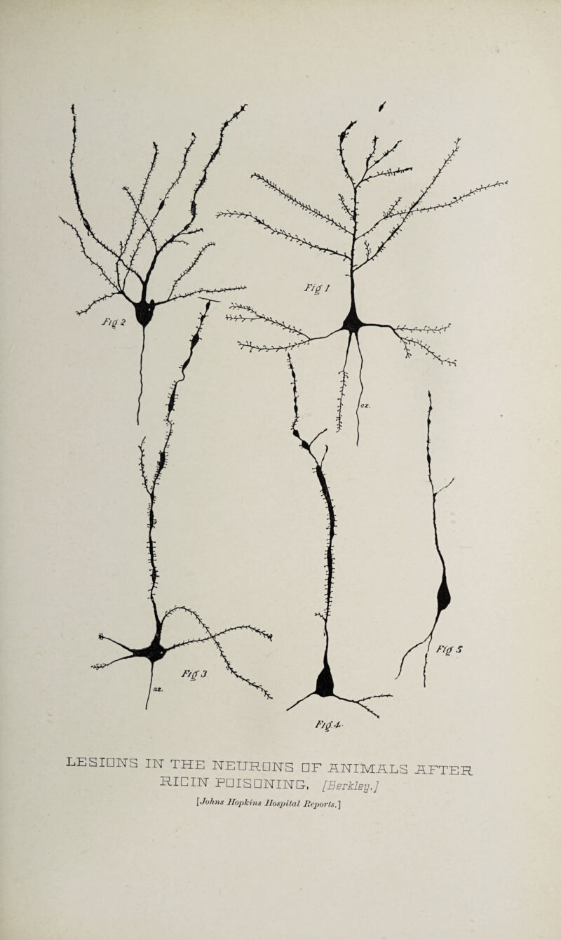 i LESIONS IN THE NEURONS DF ANIMALS AFTER RICIN PDISDNINE, [Berkley,] [Johns J/opkins Hospital Reports.]