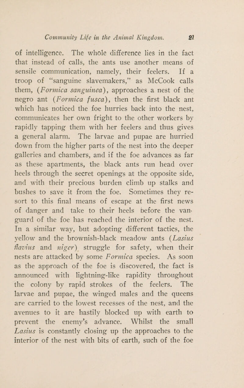 of intelligence. The whole difference lies in the fact that instead of calls, the ants use another means of sensile communication, namely, their feelers. If a troop of “sanguine slavemakers,” as McCook calls them, (Formica sanguined), approaches a nest of the negro ant (Formica fusca), then the first black ant which has noticed the foe hurries back into the nest, communicates her own fright to the other workers by rapidly tapping them with her feelers and thus gives a general alarm. The larvae and pupae are hurried down from the higher parts of the nest into the deeper galleries and chambers, and if the foe advances as far as these apartments, the black ants run head over heels through the secret openings at the opposite side, and with their precious burden climb up stalks and bushes to save it from the foe. Sometimes they re¬ sort to this final means of escape at the first news of danger and take to their heels before the vam guard of the foe has reached the interior of the nest. In a similar way, but adopting different tactics, the yellow and the brownish-black meadow ants (Lasius flavins and niger) struggle for safety, when their nests are attacked by some Formica species. As soon as the approach of the foe is discovered, the fact is announced with lightning-like rapidity throughout the colony by rapid strokes of the feelers. The larvae and pupae, the winged males and the queens are carried to the lowest recesses of the nest, and the avenues to it are hastily blocked up with earth to prevent the enemy’s advance. Whilst the small Lasius is constantly closing up the approaches to the interior of the nest with bits of earth, such of the foe
