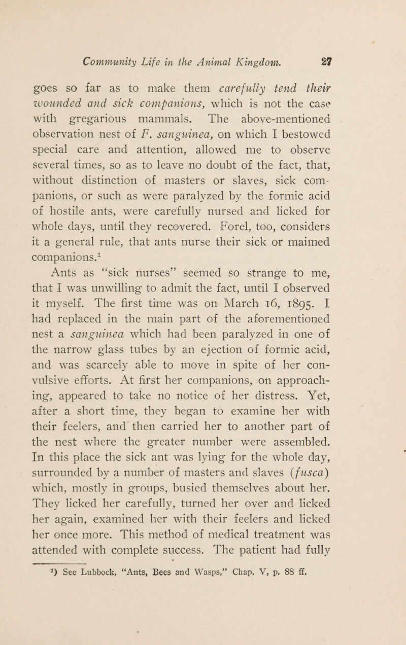 goes so far as to make them carefully tend their wounded and sick companions, which is not the case with gregarious mammals. The above-mentioned observation nest of F. sanguinea, on which I bestowed special care and attention, allowed me to observe several times, so as to leave no doubt of the fact, that, without distinction of masters or slaves, sick com¬ panions, or such as were paralyzed by the formic acid of hostile ants, were carefully nursed and licked for whole days, until they recovered. Forel, too, considers it a general rule, that ants nurse their sick or maimed companions.1 Ants as “sick nurses” seemed so strange to me, that I was unwilling to admit the fact, until I observed it myself. The first time was on March 16, 1895. I had replaced in the main part of the aforementioned nest a sanguinea which had been paralyzed in one of the narrow glass tubes by an ejection of formic acid, and was scarcely able to move in spite of her con¬ vulsive efforts. At first her companions, on approach¬ ing, appeared to take no notice of her distress. Yet, after a short time, they began to examine her with their feelers, and then carried her to another part of the nest where the greater number were assembled. In this place the sick ant was lying for the whole day, surrounded by a number of masters and slaves (fusca) which, mostly in groups, busied themselves about her. They licked her carefully, turned her over and licked her again, examined her with their feelers and licked her once more. This method of medical treatment was attended with complete success. The patient had fully a) See Lubbock, “Ants, Bees and Wasps,” Chap. V, p. 88 ff.