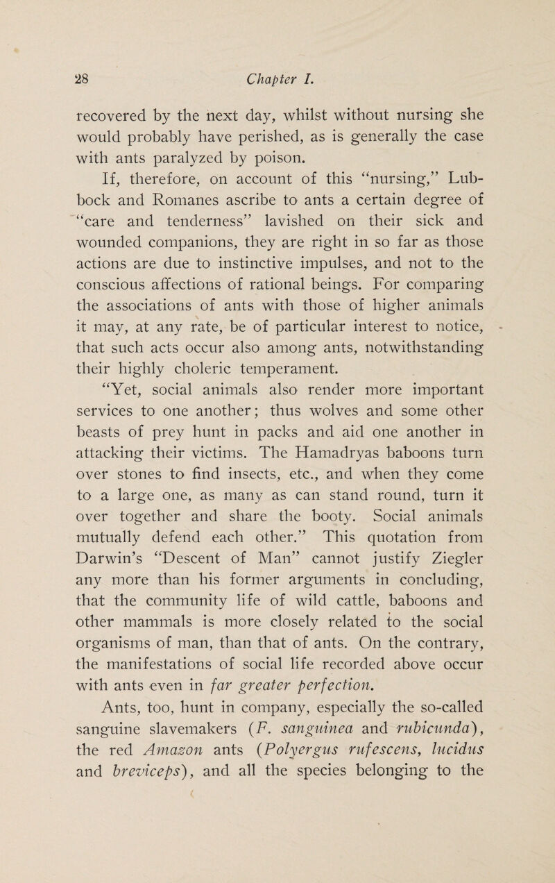 recovered by the next day, whilst without nursing she would probably have perished, as is generally the case with ants paralyzed by poison. If, therefore, on account of this “nursing,” Lub¬ bock and Romanes ascribe to ants a certain degree of “care and tenderness” lavished on their sick and wounded companions, they are right in so far as those actions are due to instinctive impulses, and not to the conscious affections of rational beings. For comparing the associations of ants with those of higher animals it may, at any rate, be of particular interest to notice, that such acts occur also among ants, notwithstanding their highly choleric temperament. “Yet, social animals also render more important services to one another; thus wolves and some other beasts of prey hunt in packs and aid one another in attacking their victims. The Hamadryas baboons turn over stones to find insects, etc., and when they come to a large one, as many as can stand round, turn it over together and share the booty. Social animals mutually defend each other.” This quotation from Darwin’s “Descent of Man” cannot justify Ziegler any more than his former arguments in concluding, that the community life of wild cattle, baboons and other mammals is more closely related to the social organisms of man, than that of ants. On the contrary, the manifestations of social life recorded above occur with ants even in far greater perfection. Ants, too, hunt in company, especially the so-called sanguine slavemakers (F. sanguinea and rubicunda), the red Amazon ants (Polyergus rufescens, lucidus and breviceps), and all the species belonging to the
