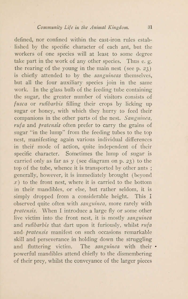 defined, nor confined within the cast-iron rules estab¬ lished by the specific character of each ant, but the workers of one species will at least to some degree take part in the work of any other species. Thus e. g. the rearing of the young in the main nest (see p. 23) is chiefly attended to by the sanguineas themselves, but all the four auxiliary species join in the same work. In the glass bulb of the feeding tube containing the sugar, the greater number of visitors consists of fusca or rufibarbis filling their crops by licking up sugar or honey, with which they hurry to feed their companions in the other parts of the nest. Sanguined, rufa and pratensis often prefer to carry the grains of sugar “in the lump” from the feeding tubes to the top nest, manifesting again various individual differences in their mode of action, quite independent of their specific character. Sometimes the lump of sugar is carried only as far as y (see diagram on p. 23) to the top of the tube, whence it is transported by other ants ; generally, however, it is immediately brought (beyond x) to the front nest, where it is carried to the bottom in their mandibles, or else, but rather seldom, it is simply dropped from a considerable height. This I observed quite often with sanguinea, more rarely with pratensis. When I introduce a large fly or some other live victim into the front nest, it is mostly sanguinea and rufibarbis that dart upon it furiously, whilst rufa and pratensis manifest on such occasions remarkable skill and perseverance in holding down the struggling and fluttering victim. The sanguinea with their • powerful mandibles attend chiefly to the dismembering of their prey, whilst the conveyance of the larger pieces