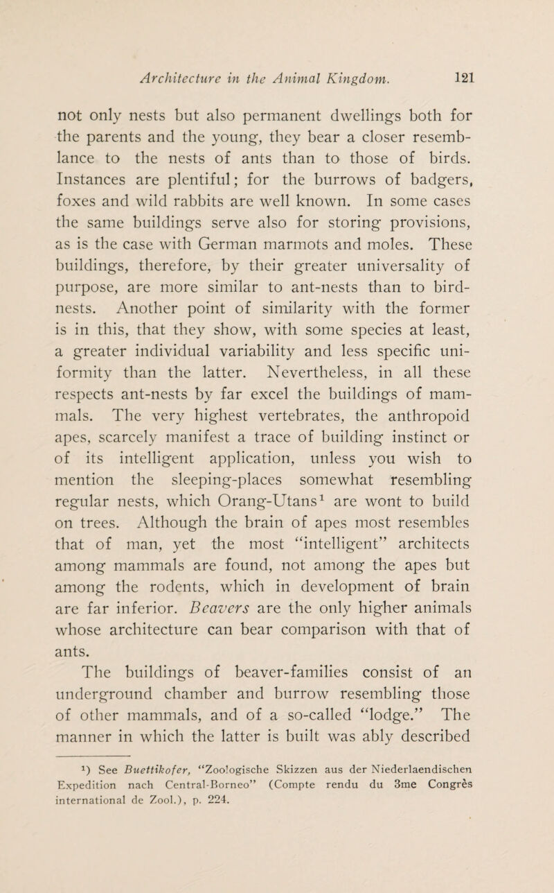 not only nests but also permanent dwellings both for the parents and the young, they bear a closer resemb¬ lance to the nests of ants than to those of birds. Instances are plentiful; for the burrows of badgers, foxes and wild rabbits are well known. In some cases the same buildings serve also for storing provisions, as is the case with German marmots and moles. These buildings, therefore, by their greater universality of purpose, are more similar to ant-nests than to bird- nests. Another point of similarity with the former is in this, that they show, with some species at least, a greater individual variability and less specific uni¬ formity than the latter. Nevertheless, in all these respects ant-nests by far excel the buildings of mam¬ mals. The very highest vertebrates, the anthropoid apes, scarcely manifest a trace of building instinct or of its intelligent application, unless you wish to mention the sleeping-places somewhat resembling regular nests, which Orang-Utans1 are wont to build on trees. Although the brain of apes most resembles that of man, yet the most “intelligent” architects among mammals are found, not among the apes but among the rodents, which in development of brain are far inferior. Beavers are the only higher animals whose architecture can bear comparison with that of ants. The buildings of beaver-families consist of an underground chamber and burrow resembling those of other mammals, and of a so-called “lodge.” The manner in which the latter is built was ably described *) See Buettikofer, “Zoologische Skizzen aus der Niederlaendischen Expedition nach Central-Borneo” (Compte rendu du 3me Congres international de Zool.), p. 224.