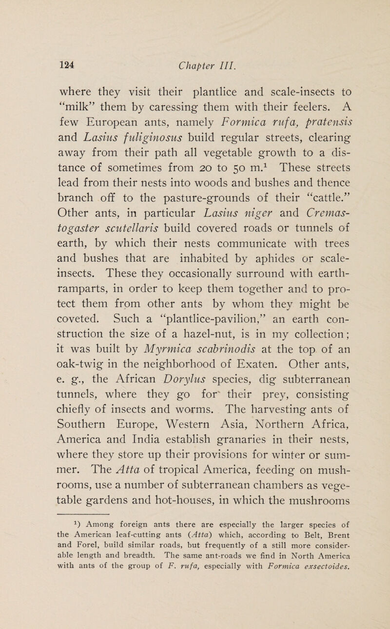 where they visit their plantlice and scale-insects to “milk” them by caressing them with their feelers. A few European ants, namely Formica rufa, pratensis and Lasius fuliginosus build regular streets, clearing away from their path all vegetable growth to a dis¬ tance of sometimes from 20 to 50 m.1 These streets lead from their nests into woods and bushes and thence branch off to the pasture-grounds of their “cattle.” Other ants, in particular Lasius niger and Cremas- togaster scutellaris build covered roads or tunnels of earth, by which their nests communicate with trees and bushes that are inhabited by aphides or scale- insects. These they occasionally surround with earth- ramparts, in order to keep them together and to pro¬ tect them from other ants by whom they might be coveted. Such a “plantlice-pavilion,” an earth con¬ struction the size of a hazel-nut, is in my collection; it was built by Myrmica scabrinodis at the top of an oak-twig in the neighborhood of Exaten. Other ants, e. g., the African Dorylus species, dig subterranean tunnels, where they go for their prey, consisting chiefly of insects and worms. The harvesting ants of Southern Europe, Western Asia, Northern Africa, America and India establish granaries in their nests, where they store up their provisions for winter or sum¬ mer. The Atta of tropical America, feeding on mush¬ rooms, use a number of subterranean chambers as vege¬ table gardens and hot-houses, in which the mushrooms P Among foreign ants there are especially the larger species of the American leaf-cutting ants (Atta) which, according to Belt, Brent and Forel, build similar roads, but frequently of a still more consider¬ able length and breadth. The same ant-roads we find in North America with ants of the group of F. rufa, especially with Formica exsectoides.