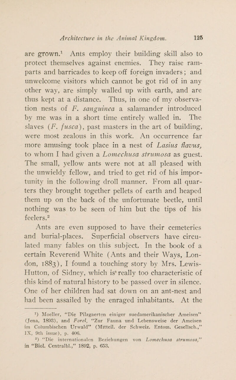 are grown.1 Ants employ their building skill also to protect themselves against enemies. They raise ram¬ parts and barricades to keep off foreign invaders; and unwelcome visitors which cannot be got rid of in any other way, are simply walled up with earth, and are thus kept at a distance. Thus, in one of my observa¬ tion nests of F. sanguined a salamander introduced by me was in a short time entirely walled in. The slaves (F. fusca), past masters in the art of building, were most zealous in this work. An occurrence far more amusing took place in a nest of Lasius flavus, to whom I had given a Lomechusa strumosa as guest. The small, yellow ants were not at all pleased with the unwieldy fellow, and tried to get rid of his impor¬ tunity in the following droll manner. From all quar¬ ters they brought together pellets of earth and heaped them up on the back of the unfortunate beetle, until nothing was to be seen of him but the tips of his feelers.2 Ants are even supposed to have their cemeteries and burial-places. Superficial observers have circu¬ lated many fables on this subject. In the book of a certain Reverend White (Ants and their Ways, Lon¬ don, 1883), I found a touching story by Mrs. Lewis- Hutton, of Sidney, which is’ really too characteristic of this kind of natural history to be passed over in silence. One of her children had sat down on an ant-nest and had been assailed by the enraged inhabitants. At the 1) Moeller, “Die Pilzgaerten einiger suedamerikanischer Ameisen“ (Jena, 1803), and Forel, “Zur Fauna und Lebensweise der Ameisen im Columbischen Urwald” (Mitteil, der Schweiz. Entom. Gesellsch.,” IX, 9th issue), p. 406. 2) “Die internationalen Beziehungen von Lomechusa strumosa,” in “Biol. Centralbl.,” 1802, p. 653.
