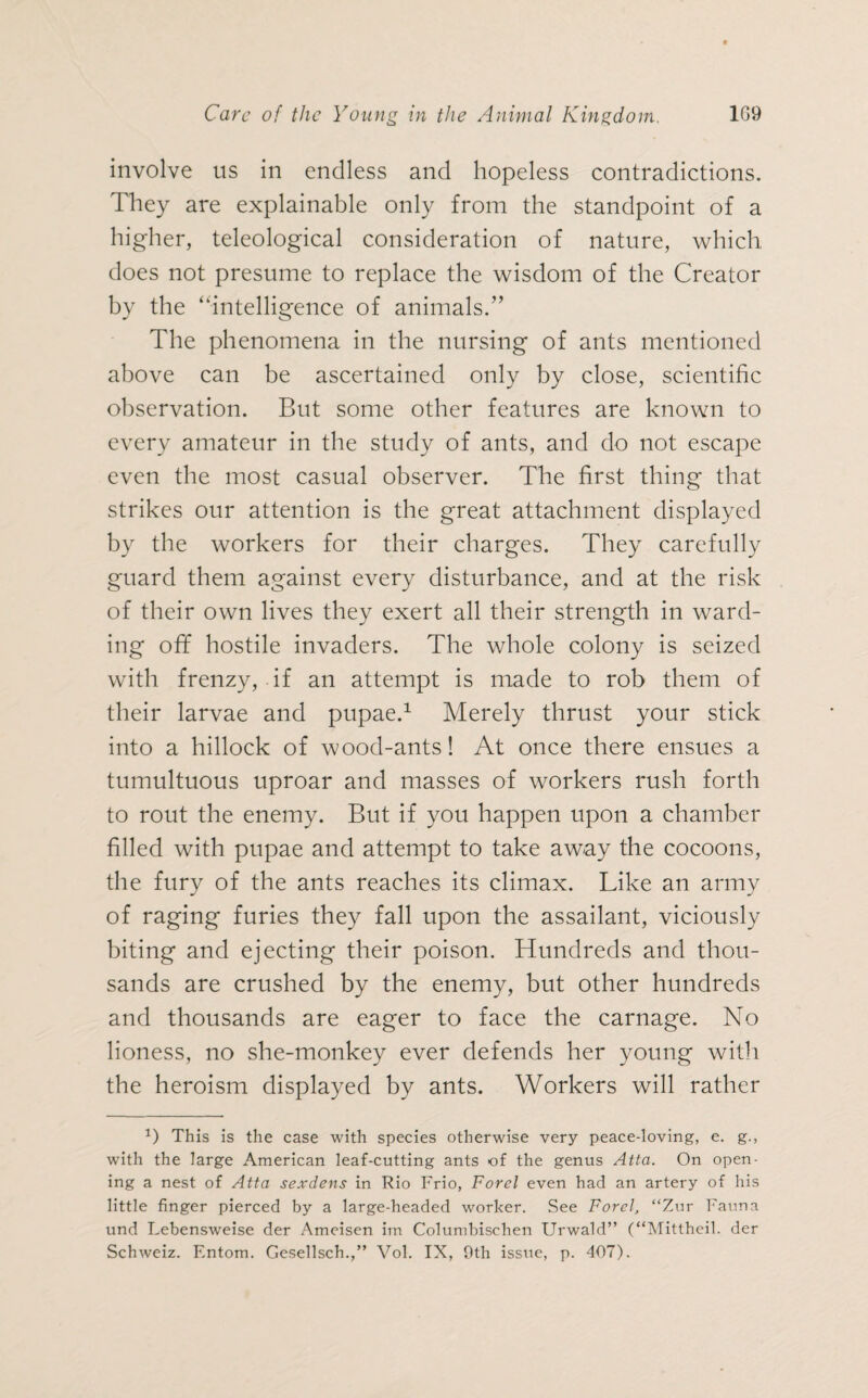 involve us in endless and hopeless contradictions. They are explainable only from the standpoint of a higher, teleological consideration of nature, which does not presume to replace the wisdom of the Creator by the “intelligence of animals.” The phenomena in the nursing of ants mentioned above can be ascertained only by close, scientific observation. But some other features are known to every amateur in the study of ants, and do not escape even the most casual observer. The first thing that strikes our attention is the great attachment displayed by the workers for their charges. They carefully guard them against every disturbance, and at the risk of their own lives they exert all their strength in ward¬ ing off hostile invaders. The whole colony is seized with frenzy, if an attempt is made to rob them of their larvae and pupae.1 Merely thrust your stick into a hillock of wood-ants! At once there ensues a tumultuous uproar and masses of workers rush forth to rout the enemy. But if you happen upon a chamber filled with pupae and attempt to take away the cocoons, the fury of the ants reaches its climax. Like an army of raging furies they fall upon the assailant, viciously biting and ejecting their poison. Hundreds and thou¬ sands are crushed by the enemy, but other hundreds and thousands are eager to face the carnage. No lioness, no she-monkey ever defends her young with the heroism displayed by ants. Workers will rather 1) This is the case with species otherwise very peace-loving, e. g., with the large American leaf-cutting ants of the genus Atta. On open¬ ing a nest of Atta sexdens in Rio Frio, Forel even had an artery of his little finger pierced by a large-headed worker. See Forel, “Zur Fauna und Lebensweise der Ameisen im Columbischen Urwald” (“Mittheil, der Schweiz. Entom. Gesellsch.,” Vol. IX, 9th issue, p. 407).