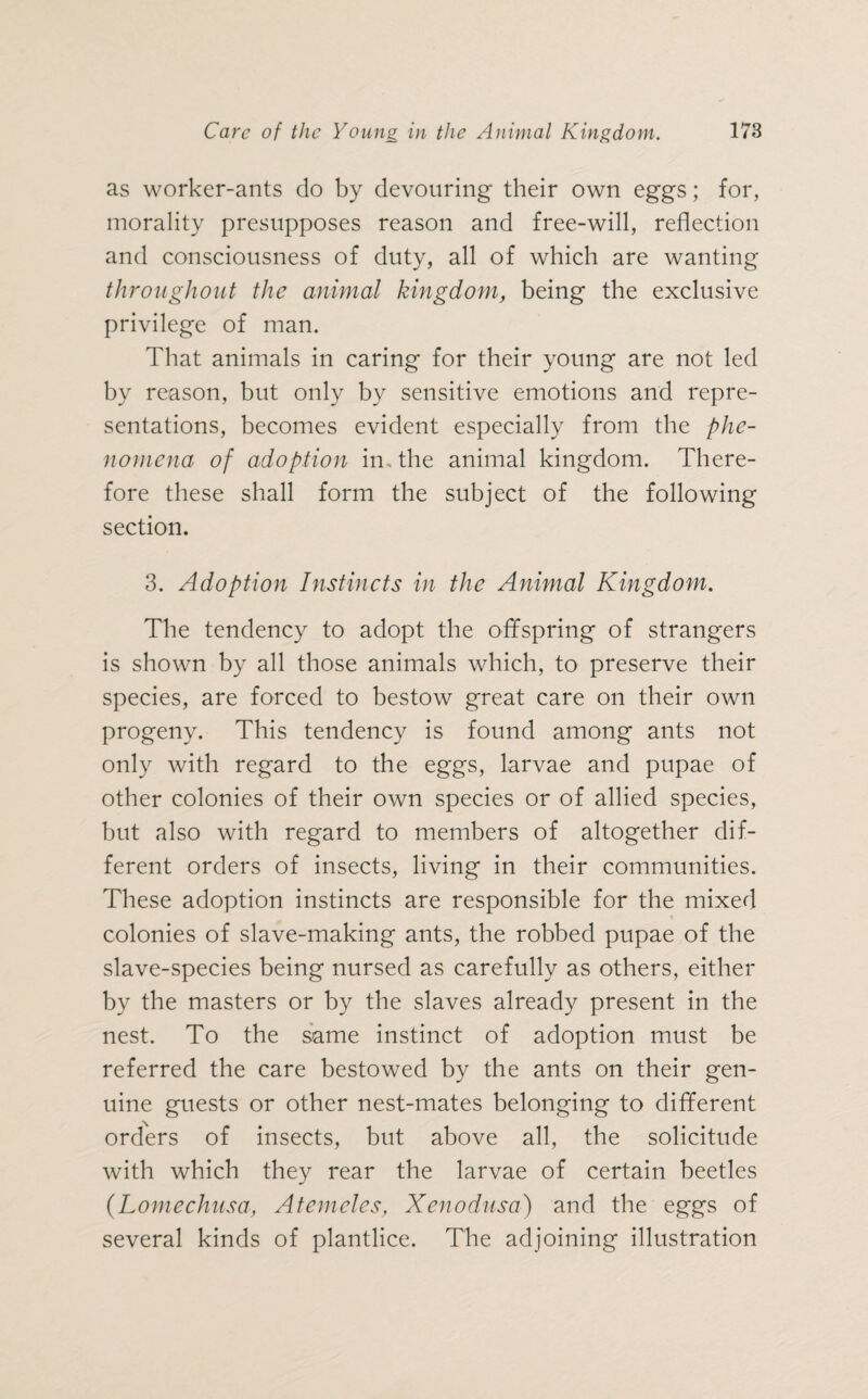 as worker-ants do by devouring their own eggs; for, morality presupposes reason and free-will, reflection and consciousness of duty, all of which are wanting throughout the animal kingdom, being the exclusive privilege of man. That animals in caring for their young are not led by reason, but only by sensitive emotions and repre¬ sentations, becomes evident especially from the phe¬ nomena of adoption in. the animal kingdom. There¬ fore these shall form the subject of the following section. 3. Adoption Instincts in the Animal Kingdom. The tendency to adopt the offspring of strangers is shown by all those animals which, to preserve their species, are forced to bestow great care on their own progeny. This tendency is found among ants not only with regard to the eggs, larvae and pupae of other colonies of their own species or of allied species, but also with regard to members of altogether dif¬ ferent orders of insects, living in their communities. These adoption instincts are responsible for the mixed colonies of slave-making ants, the robbed pupae of the slave-species being nursed as carefully as others, either by the masters or by the slaves already present in the nest. To the same instinct of adoption must be referred the care bestowed by the ants on their gen¬ uine guests or other nest-mates belonging to different orders of insects, but above all, the solicitude with which they rear the larvae of certain beetles (Lomechusa, Atemcles, Xenodusa) and the eggs of several kinds of plantlice. The adjoining illustration