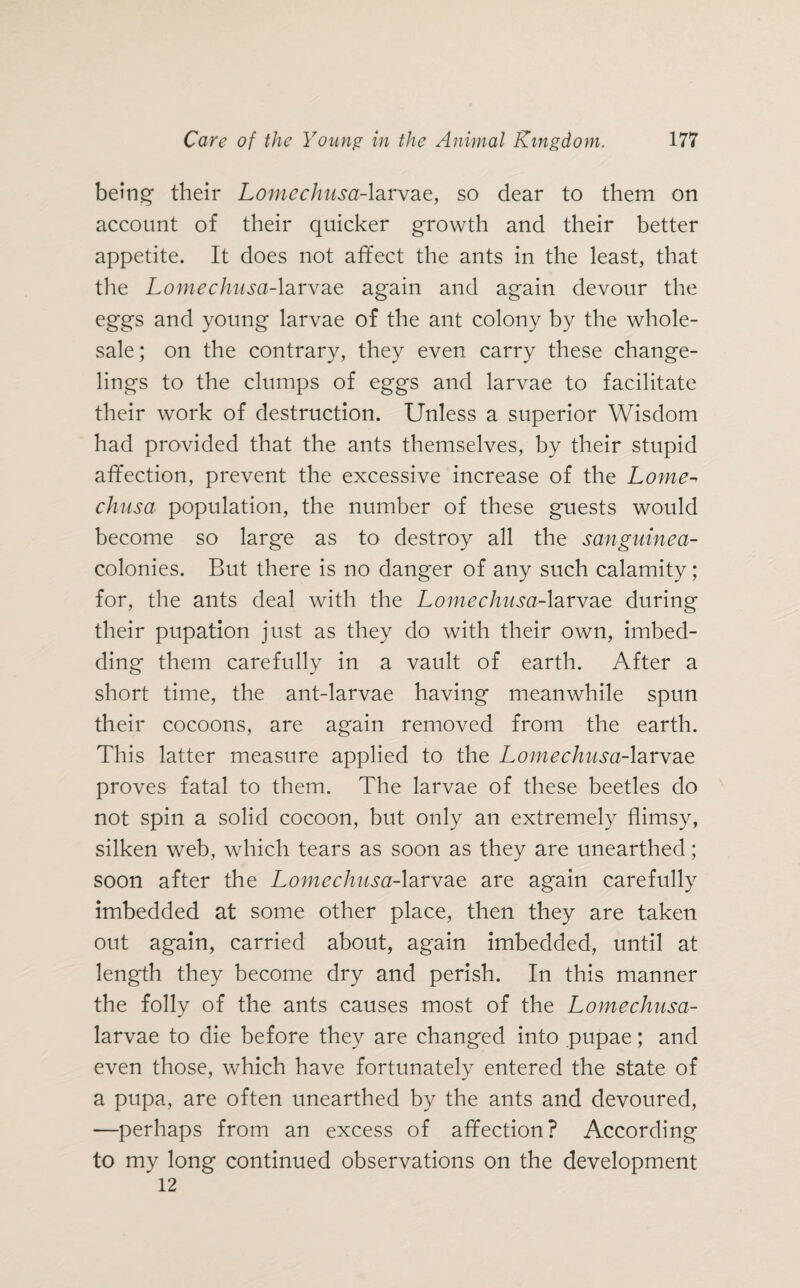 being’ their Lomechusa-larvae, so dear to them on account of their quicker growth and their better appetite. It does not affect the ants in the least, that the Lomechusa-larvae again and again devour the eggs and young larvae of the ant colony by the whole¬ sale ; on the contrary, they even carry these change¬ lings to the clumps of eggs and larvae to facilitate their work of destruction. Unless a superior Wisdom had provided that the ants themselves, by their stupid affection, prevent the excessive increase of the Lome- chusa population, the number of these guests would become so large as to destroy all the sanguinea- colonies. But there is no danger of any such calamity; for, the ants deal with the Lomechusa-larvae during their pupation just as they do with their own, imbed¬ ding them carefully in a vault of earth. After a short time, the ant-larvae having meanwhile spun their cocoons, are again removed from the earth. This latter measure applied to the Lomechusa-larvae proves fatal to them. The larvae of these beetles do not spin a solid cocoon, but only an extremely flimsy, silken web, which tears as soon as they are unearthed; soon after the Lomechusa-larvae are again carefully imbedded at some other place, then they are taken out again, carried about, again imbedded, until at length they become dry and perish. In this manner the folly of the ants causes most of the Lomechusa- larvae to die before they are changed into pupae; and even those, which have fortunately entered the state of a pupa, are often unearthed by the ants and devoured, —perhaps from an excess of affection? According to my long continued observations on the development 12
