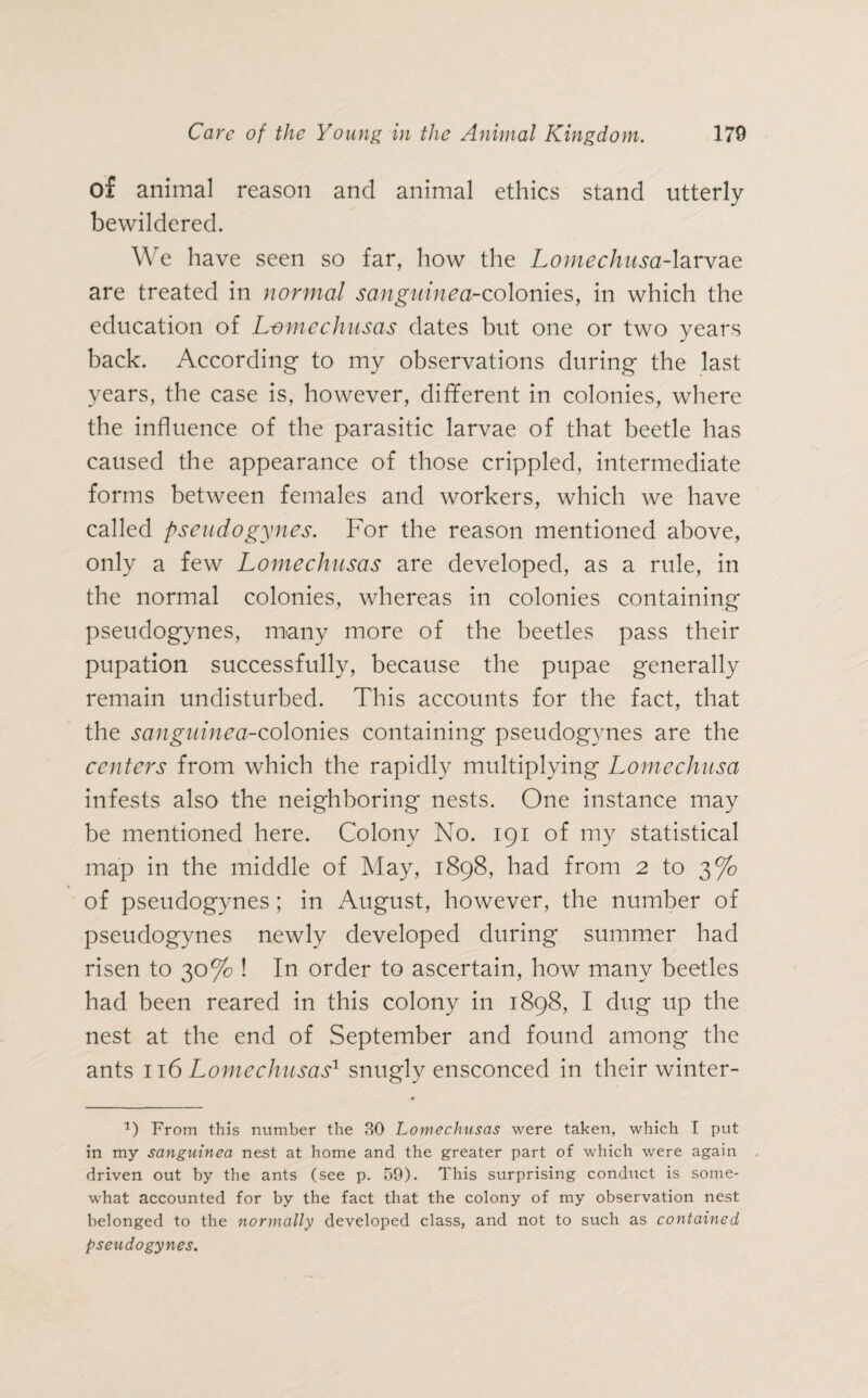 of animal reason and animal ethics stand utterly bewildered. We have seen so far, how the Lomechusa-larvae are treated in normal sanguinea-colonies, in which the education of L-omcchusas dates but one or two years back. According to my observations during the last years, the case is, however, different in colonies, where the influence of the parasitic larvae of that beetle has caused the appearance of those crippled, intermediate forms between females and workers, which we have called pseudogynes. For the reason mentioned above, only a few Lomechusas are developed, as a rule, in the normal colonies, whereas in colonies containing pseudogynes, many more of the beetles pass their pupation successfully, because the pupae generally remain undisturbed. This accounts for the fact, that the sanguinea-colonies containing pseudogynes are the centers from which the rapidly multiplying Lomechusa infests also the neighboring nests. One instance may be mentioned here. Colony No. 191 of my statistical map in the middle of May, 1898, had from 2 to 3% of pseudogynes; in August, however, the number of pseudogynes newly developed during summer had risen to 30% ! In order to ascertain, how many beetles had been reared in this colony in 1898, I dug up the nest at the end of September and found among the ants 116 Lomechusas1 snugly ensconced in their winter- 1) From this number the BO Lomechusas were taken, which I put in my sanguinea nest at home and the greater part of which were again driven out by the ants (see p. 59). This surprising conduct is some¬ what accounted for by the fact that the colony of my observation nest belonged to the normally developed class, and not to such as contained pseudogynes.