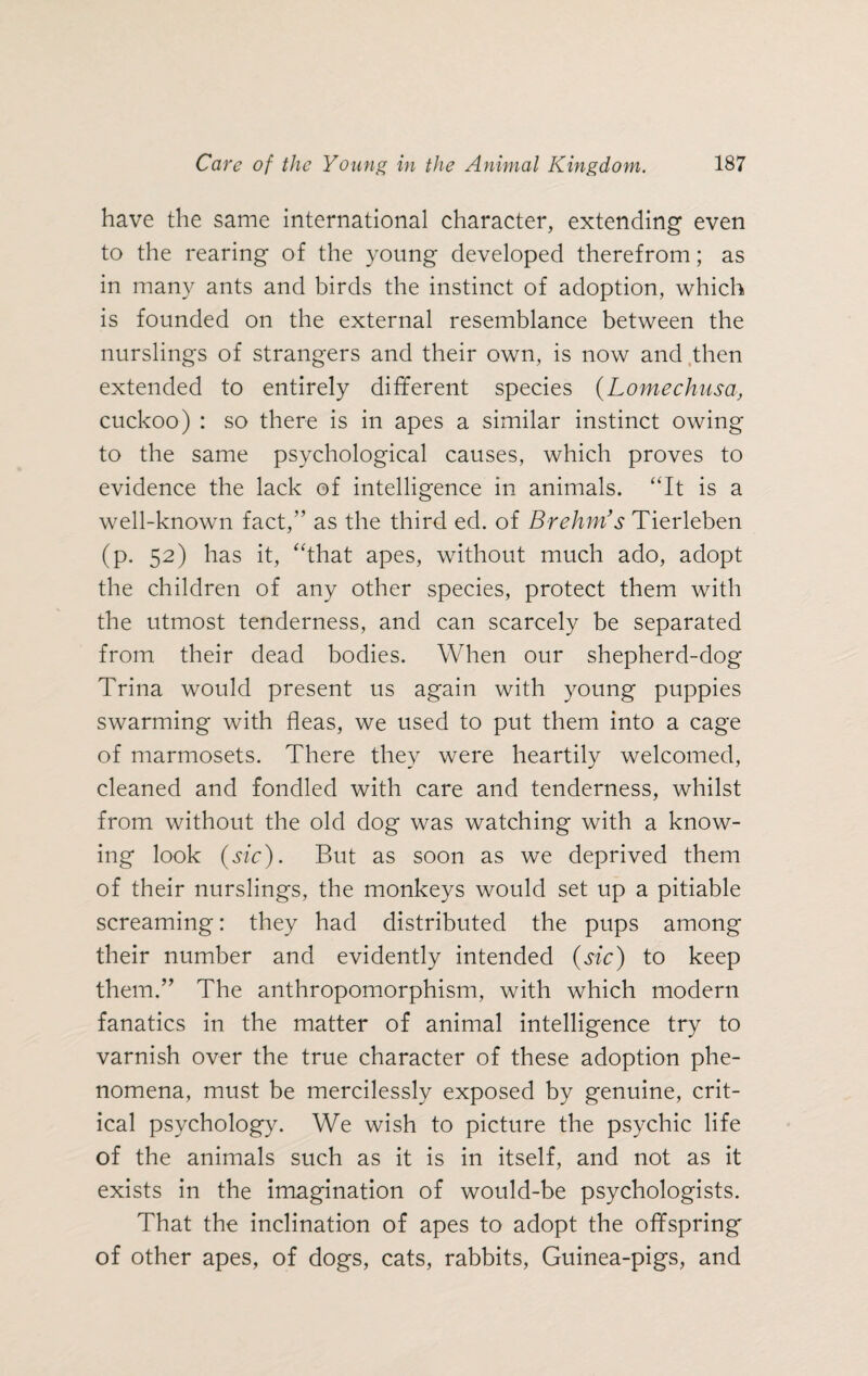 have the same international character, extending even to the rearing of the young developed therefrom; as in many ants and birds the instinct of adoption, which is founded on the external resemblance between the nurslings of strangers and their own, is now and then extended to entirely different species (Lomechusa, cuckoo) : so there is in apes a similar instinct owing to the same psychological causes, which proves to evidence the lack of intelligence in animals. “It is a well-known fact,” as the third ed. of Brehm’s Tierleben (p. 52) has it, “that apes, without much ado, adopt the children of any other species, protect them with the utmost tenderness, and can scarcely be separated from their dead bodies. When our shepherd-dog Trina would present us again with young puppies swarming with fleas, we used to put them into a cage of marmosets. There they were heartily welcomed, cleaned and fondled with care and tenderness, whilst from without the old dog was watching with a know¬ ing look (sic). But as soon as we deprived them of their nurslings, the monkeys would set up a pitiable screaming: they had distributed the pups among their number and evidently intended (sic) to keep them.” The anthropomorphism, with which modern fanatics in the matter of animal intelligence try to varnish over the true character of these adoption phe¬ nomena, must be mercilessly exposed by genuine, crit¬ ical psychology. We wish to picture the psychic life of the animals such as it is in itself, and not as it exists in the imagination of would-be psychologists. That the inclination of apes to adopt the offspring of other apes, of dogs, cats, rabbits, Guinea-pigs, and