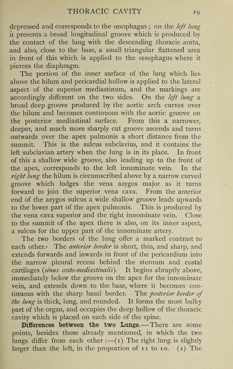 depressed and corresponds to the oesophagus ; on the left king it presents a broad longitudinal groove which is produced by the contact of the lung with the descending thoracic aorta, and also, close to the base, a small triangular flattened area in front of this which is applied to the oesophagus where it pierces the diaphragm. The portion of the inner surface of the lung which lies above the hilum and pericardial hollow is applied to the lateral aspect of the superior mediastinum, and the markings are accordingly different on the two sides. On the left lung a broad deep groove produced by the aortic arch curves over the hilum and becomes continuous with the aortic groove on the posterior mediastinal surface. From this a narrower, deeper, and much more sharply cut groove ascends and turns outwards over the apex pulmonis a short distance from the summit. This is the sulcus subclavius, and it contains the left subclavian artery when the lung is in its place. In front of this a shallow wide groove, also leading up to the front of the apex, corresponds to the left innominate vein. In the right lung the hilum is circumscribed above by a narrow curved groove which lodges the vena azygos major as it turns forward to join the superior vena cava. From the anterior end of the azygos sulcus a wide shallow groove leads upwards to the lower part of the apex pulmonis. This is produced by the vena cava superior and the right innominate vein. Close to the summit of the apex there is also, on its inner aspect, a sulcus for the upper part of the innominate artery. The two borders of the lung offer a marked contrast to each other.* The anterior border is short, thin, and sharp, and extends forwards and inwards in front of the pericardium into the narrow pleural recess behind the sternum and costal cartilages (sinus costo-mediastinalis). It begins abruptly above, immediately below the groove on the apex for the innominate vein, and extends down to the base, where it becomes con¬ tinuous with the sharp basal border. The posterior border of the lung is thick, long, and rounded. It forms the most bulky part of the organ, and occupies the deep hollow of the thoracic cavity which is placed on each side of the spine. Differences between the two Lungs.—There are some points, besides those already mentioned, in which the two lungs differ from each other:—(i) The right lung is slightly larger than the left, in the proportion of n to io. (2) The