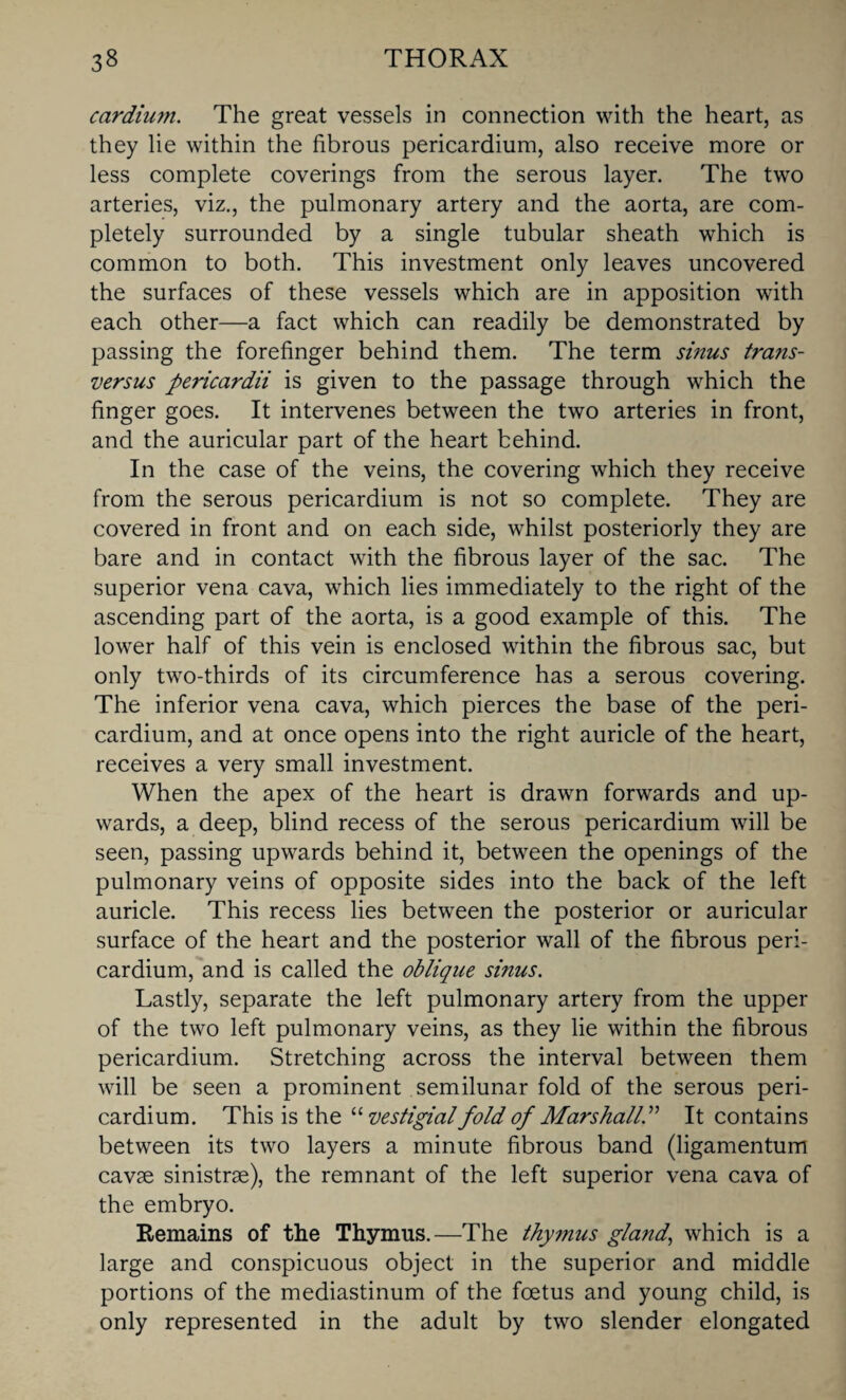 cardiutn. The great vessels in connection with the heart, as they lie within the fibrous pericardium, also receive more or less complete coverings from the serous layer. The two arteries, viz., the pulmonary artery and the aorta, are com¬ pletely surrounded by a single tubular sheath which is common to both. This investment only leaves uncovered the surfaces of these vessels which are in apposition with each other—a fact which can readily be demonstrated by passing the forefinger behind them. The term sinus trans- versus pericardii is given to the passage through which the finger goes. It intervenes between the two arteries in front, and the auricular part of the heart behind. In the case of the veins, the covering which they receive from the serous pericardium is not so complete. They are covered in front and on each side, whilst posteriorly they are bare and in contact with the fibrous layer of the sac. The superior vena cava, which lies immediately to the right of the ascending part of the aorta, is a good example of this. The lower half of this vein is enclosed within the fibrous sac, but only two-thirds of its circumference has a serous covering. The inferior vena cava, which pierces the base of the peri¬ cardium, and at once opens into the right auricle of the heart, receives a very small investment. When the apex of the heart is drawn forwards and up¬ wards, a deep, blind recess of the serous pericardium will be seen, passing upwards behind it, between the openings of the pulmonary veins of opposite sides into the back of the left auricle. This recess lies between the posterior or auricular surface of the heart and the posterior wall of the fibrous peri¬ cardium, and is called the oblique sinus. Lastly, separate the left pulmonary artery from the upper of the two left pulmonary veins, as they lie within the fibrous pericardium. Stretching across the interval between them will be seen a prominent semilunar fold of the serous peri¬ cardium. This is the “vestigial fold of Marshall.” It contains between its two layers a minute fibrous band (ligamentum cavae sinistrae), the remnant of the left superior vena cava of the embryo. Remains of the Thymus.—The thymus gland, which is a large and conspicuous object in the superior and middle portions of the mediastinum of the foetus and young child, is only represented in the adult by two slender elongated