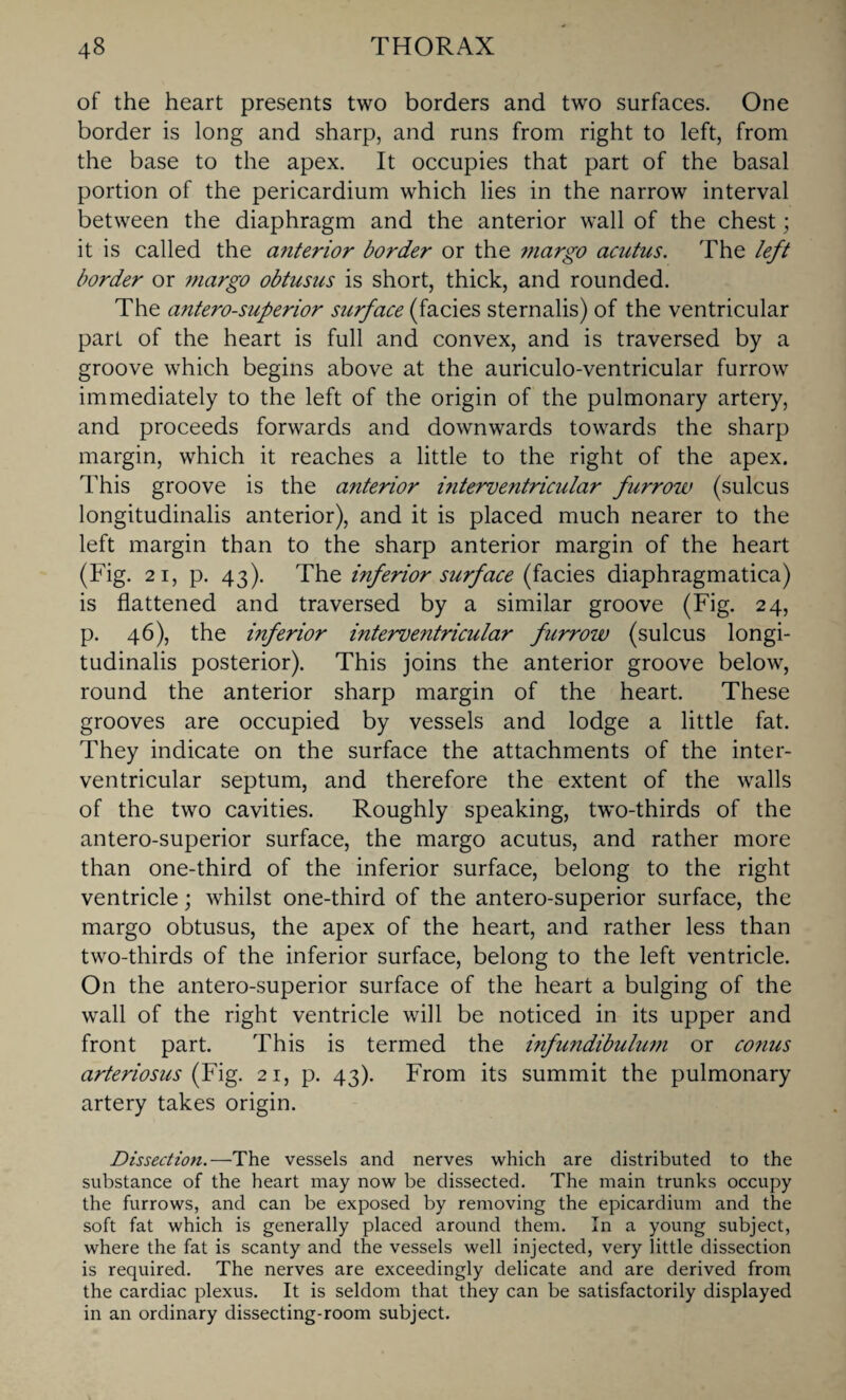 of the heart presents two borders and two surfaces. One border is long and sharp, and runs from right to left, from the base to the apex. It occupies that part of the basal portion of the pericardium which lies in the narrow interval between the diaphragm and the anterior wall of the chest; it is called the anterior border or the margo acutus. The left border or margo obtusus is short, thick, and rounded. The antero-superior surface (facies sternalis) of the ventricular part of the heart is full and convex, and is traversed by a groove which begins above at the auriculo-ventricular furrow immediately to the left of the origin of the pulmonary artery, and proceeds forwards and downwards towards the sharp margin, which it reaches a little to the right of the apex. This groove is the anterior i?iterventricular furrow (sulcus longitudinalis anterior), and it is placed much nearer to the left margin than to the sharp anterior margin of the heart (Fig. 21, p. 43). The inferior surface (facies diaphragmatica) is flattened and traversed by a similar groove (Fig. 24, p. 46), the inferior interventricular furrow (sulcus longi¬ tudinalis posterior). This joins the anterior groove below, round the anterior sharp margin of the heart. These grooves are occupied by vessels and lodge a little fat. They indicate on the surface the attachments of the inter¬ ventricular septum, and therefore the extent of the walls of the two cavities. Roughly speaking, two-thirds of the antero-superior surface, the margo acutus, and rather more than one-third of the inferior surface, belong to the right ventricle; whilst one-third of the antero-superior surface, the margo obtusus, the apex of the heart, and rather less than two-thirds of the inferior surface, belong to the left ventricle. On the antero-superior surface of the heart a bulging of the wall of the right ventricle will be noticed in its upper and front part. This is termed the infundibulum or co?ius arteriosus (Fig. 21, p. 43). From its summit the pulmonary artery takes origin. Dissection.—The vessels and nerves which are distributed to the substance of the heart may now be dissected. The main trunks occupy the furrows, and can be exposed by removing the epicardium and the soft fat which is generally placed around them. In a young subject, where the fat is scanty and the vessels well injected, very little dissection is required. The nerves are exceedingly delicate and are derived from the cardiac plexus. It is seldom that they can be satisfactorily displayed in an ordinary dissecting-room subject.