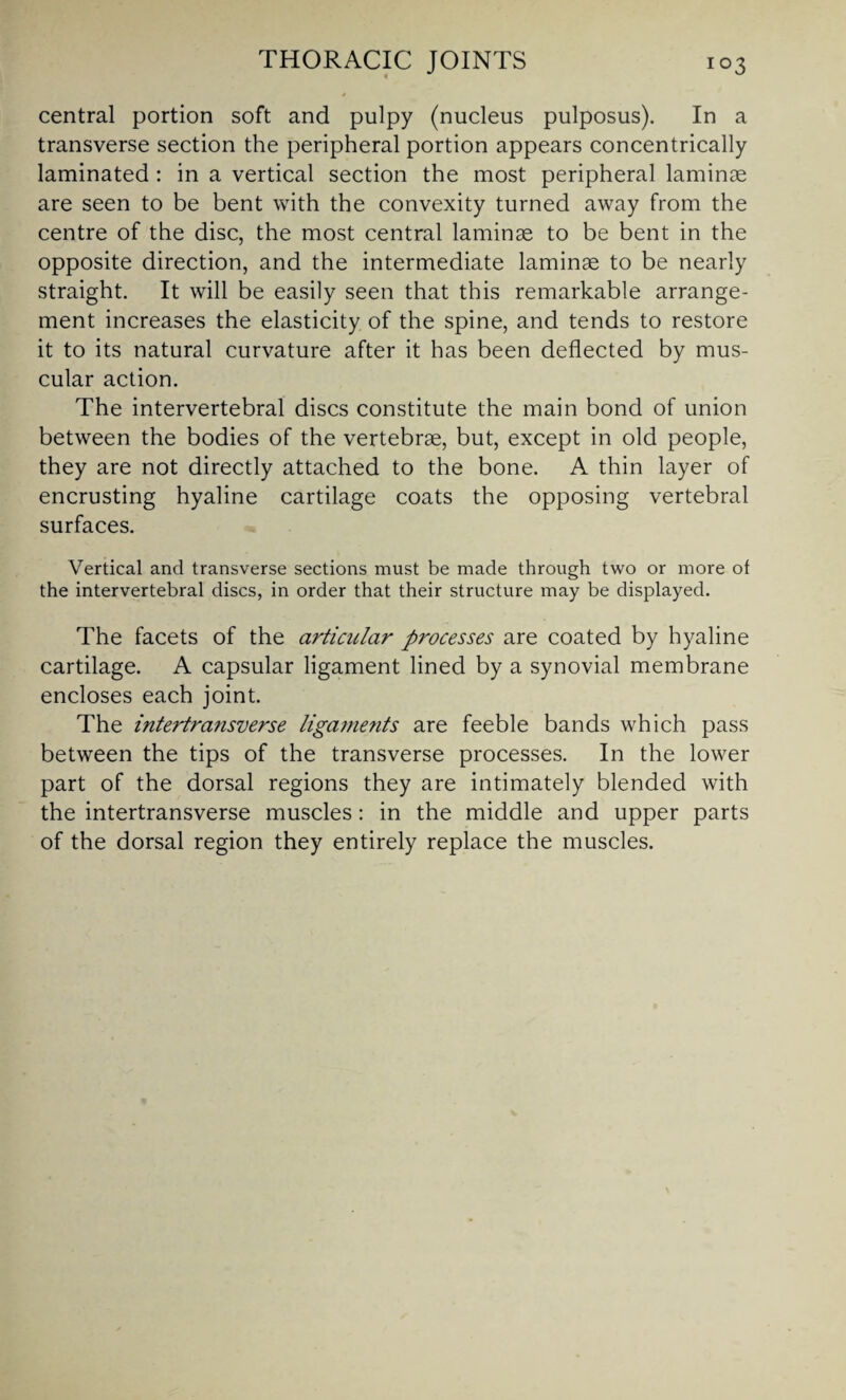 central portion soft and pulpy (nucleus pulposus). In a transverse section the peripheral portion appears concentrically laminated : in a vertical section the most peripheral laminae are seen to be bent with the convexity turned away from the centre of the disc, the most central laminae to be bent in the opposite direction, and the intermediate laminae to be nearly straight. It will be easily seen that this remarkable arrange¬ ment increases the elasticity of the spine, and tends to restore it to its natural curvature after it has been deflected by mus¬ cular action. The intervertebral discs constitute the main bond of union between the bodies of the vertebrae, but, except in old people, they are not directly attached to the bone. A thin layer of encrusting hyaline cartilage coats the opposing vertebral surfaces. Vertical and transverse sections must be made through two or more of the intervertebral discs, in order that their structure may be displayed. The facets of the articular processes are coated by hyaline cartilage. A capsular ligament lined by a synovial membrane encloses each joint. The intertransverse ligame?its are feeble bands which pass between the tips of the transverse processes. In the lower part of the dorsal regions they are intimately blended with the intertransverse muscles: in the middle and upper parts of the dorsal region they entirely replace the muscles.