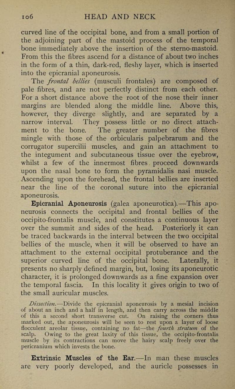 curved line of the occipital bone, and from a small portion of the adjoining part of the mastoid process of the temporal bone immediately above the insertion of the sterno-mastoid. From this the fibres ascend for a distance of about two inches in the form of a thin, dark-red, fleshy layer, which is inserted into the epicranial aponeurosis. The frontal bellies (musculi frontales) are composed of pale fibres, and are not perfectly distinct from each other. For a short distance above the root of the nose their inner margins are blended along the middle line. Above this, however, they diverge slightly, and are separated by a narrow interval. They possess little or no direct attach¬ ment to the bone. The greater number of the fibres mingle with those of the orbicularis palpebrarum and the corrugator supercilii muscles, and gain an attachment to the integument and subcutaneous tissue over the eyebrow, whilst a few of the innermost fibres proceed downwards upon the nasal bone to form the pyramidalis nasi muscle. Ascending upon the forehead, the frontal bellies are inserted near the line of the coronal suture into the epicranial aponeurosis. Epicranial Aponeurosis (galea aponeurotica).—This apo¬ neurosis connects the occipital and frontal bellies of the occipito-frontalis muscle, and constitutes a continuous layer over the summit and sides of the head. Posteriorly it can be traced backwards in the interval between the two occipital bellies of the muscle, when it will be observed to have an attachment to the external occipital protuberance and the superior curved line of the occipital bone. Laterally, it presents no sharply defined margin, but, losing its aponeurotic character, it is prolonged downwards as a fine expansion over the temporal fascia. In this locality it gives origin to two of the small auricular muscles. Dissection.—Divide the epicranial aponeurosis by a mesial incision of about an inch and a half in length, and then carry across the middle of this a second short transverse cut. On raising the corners thus marked out, the aponeurosis will be seen to rest upon a layer of loose flocculent areolar tissue, containing no fat—the fourth stratum of the scalp. Owing to the great laxity of this tissue, the occipito-frontalis muscle by its contractions can move the hairy scalp freely over the pericranium which invests the bone. Extrinsic Muscles of the Ear.—In man these muscles are very poorly developed, and the auricle possesses in