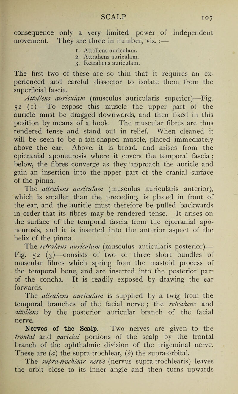 consequence only a very limited power of independent movement. They are three in number, viz. :— 1. Attollens auriculam. 2. Attrahens auriculam. 3. Retrahens auriculam. The first two of these are so thin that it requires an ex¬ perienced and careful dissector to isolate them from the superficial fascia. Attolle?is auriculam (musculus auricularis superior)—Fig. 52 (1).—To expose this muscle the upper part of the auricle must be dragged downwards, and then fixed in this position by means of a hook. The muscular fibres are thus rendered tense and stand out in relief. When cleaned it will be seen to be a fan-shaped muscle, placed immediately above the ear. Above, it is broad, and arises from the epicranial aponeurosis where it covers the temporal fascia; below, the fibres converge as they approach the auricle and gain an insertion into the upper part of the cranial surface of the pinna. The attrahens auriculam (musculus auricularis anterior), which is smaller than the preceding, is placed in front of the ear, and the auricle must therefore be pulled backwards in order that its fibres may be rendered tense. It arises on the surface of the temporal fascia from the epicranial apo¬ neurosis, and it is inserted into the anterior aspect of the helix of the pinna. The retrahens auriculam (musculus auricularis posterior)— Fig. 52 (3)—consists of two or three short bundles of muscular fibres which spring from the mastoid process of the temporal bone, and are inserted into the posterior part of the concha. It is readily exposed by drawing the ear forwards. The attrahens auriculai7i is supplied by a twig from the temporal branches of the facial nerve; the retrahens and attollens by the posterior auricular branch of the facial nerve. Nerves of the Scalp. — Two nerves are given to the frontal and parietal portions of the scalp by the frontal branch of the ophthalmic division of the trigeminal nerve. These are (a) the supra-trochlear, (b) the supra-orbital. The supra-trochlear nerve (nervus supra-trochlearis) leaves the orbit close to its inner angle and then turns upwards