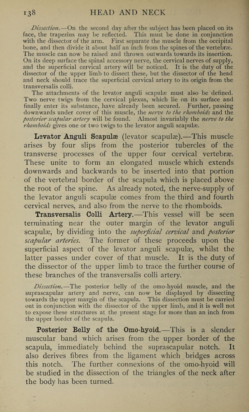 Dissection.—On the second day after the subject has been placed on its face, the trapezius may be reflected. This must be done in conjunction with the dissector of the arm. First separate the muscle from the occipital bone, and then divide it about half an inch from the spines of the vertebrae. The muscle can now be raised and thrown outwards towards its insertion. On its deep surface the spinal accessory nerve, the cervical nerves of supply, and the superficial cervical artery will be noticed. It is the duty of the dissector of the upper limb to dissect these, but the dissector of the head and neck should trace the superficial cervical artery to its origin from the transversalis colli. The attachments of the levator anguli scapulae must also be defined. Two nerve twigs from the cervical plexus, which lie on its surface and finally enter its substance, have already been secured. Further, passing downwards under cover of this muscle, the nerve to the rhomboids and the posterior scapular artery will be found. Almost invariably the nerve to the rhomboids gives one or two twigs to the levator anguli scapulae. Levator Anguli Scapulae (levator scapulae).—This muscle arises by four slips from the posterior tubercles of the transverse processes of the upper four cervical vertebrae. These unite to form an elongated muscle which extends downwards and backwards to be inserted into that portion of the vertebral border of the scapula which is placed above the root of the spine. As already noted, the nerve-supply of the levator anguli scapulae comes from the third and fourth cervical nerves, and also from the nerve to the rhomboids. Transversalis Colli Artery.—This vessel will be seen terminating near the outer margin of the levator anguli scapulae, by dividing into the superficial cervical and posterior scapular arteries. The former of these proceeds upon the superficial aspect of the levator anguli scapulae, whilst the latter passes under cover of that muscle. It is the duty of the dissector of the upper limb to trace the further course of these branches of the transversalis colli artery. Dissection.—The posterior belly of the omo-hyoid muscle, and the suprascapular artery and nerve, can now be displayed by dissecting towards the upper margin of the scapula. This dissection must be carried out in conjunction with the dissector of the upper limb, and it is well not to expose these structures at the present stage for more than an inch from the upper border of the scapula. Posterior Belly of the Omo-hyoid.—This is a slender muscular band which arises from the upper border of the scapula, immediately behind the suprascapular notch. It also derives fibres from the ligament which bridges across this notch. The further connexions of the omo-hyoid will be studied in the dissection of the triangles of the neck after the body has been turned.
