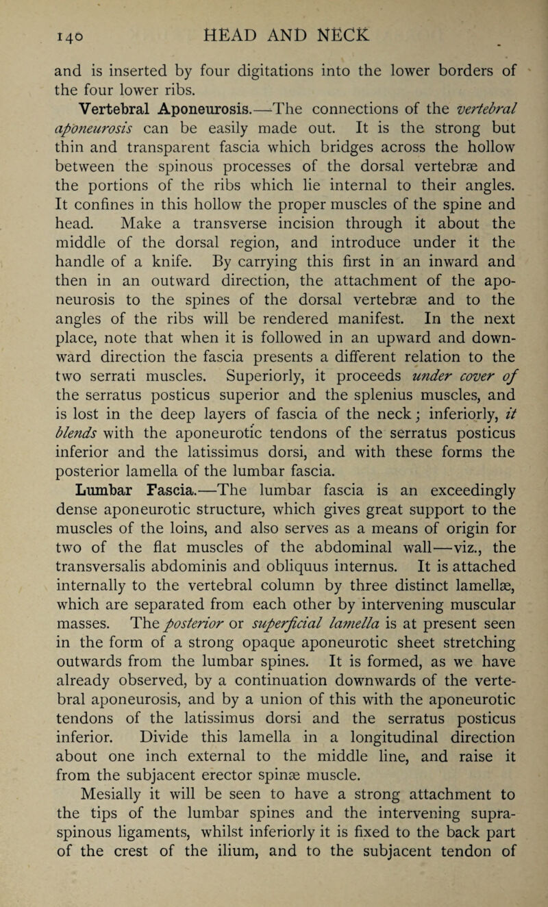 and is inserted by four digitations into the lower borders of the four lower ribs. Vertebral Aponeurosis.—-The connections of the vertebral aponeurosis can be easily made out. It is the strong but thin and transparent fascia which bridges across the hollow between the spinous processes of the dorsal vertebrae and the portions of the ribs which lie internal to their angles. It confines in this hollow the proper muscles of the spine and head. Make a transverse incision through it about the middle of the dorsal region, and introduce under it the handle of a knife. By carrying this first in an inward and then in an outward direction, the attachment of the apo¬ neurosis to the spines of the dorsal vertebrae and to the angles of the ribs will be rendered manifest. In the next place, note that when it is followed in an upward and down¬ ward direction the fascia presents a different relation to the two serrati muscles. Superiorly, it proceeds under cover of the serratus posticus superior and the splenius muscles, and is lost in the deep layers of fascia of the neck; inferiorly, it blends with the aponeurotic tendons of the serratus posticus inferior and the latissimus dorsi, and with these forms the posterior lamella of the lumbar fascia. Lumbar Fascia.—The lumbar fascia is an exceedingly dense aponeurotic structure, which gives great support to the muscles of the loins, and also serves as a means of origin for two of the flat muscles of the abdominal wall—viz., the transversalis abdominis and obliquus internus. It is attached internally to the vertebral column by three distinct lamellae, which are separated from each other by intervening muscular masses. The posterior or superficial lamella is at present seen in the form of a strong opaque aponeurotic sheet stretching outwards from the lumbar spines. It is formed, as we have already observed, by a continuation downwards of the verte¬ bral aponeurosis, and by a union of this with the aponeurotic tendons of the latissimus dorsi and the serratus posticus inferior. Divide this lamella in a longitudinal direction about one inch external to the middle line, and raise it from the subjacent erector spinae muscle. Mesially it will be seen to have a strong attachment to the tips of the lumbar spines and the intervening supra¬ spinous ligaments, whilst inferiorly it is fixed to the back part of the crest of the ilium, and to the subjacent tendon of