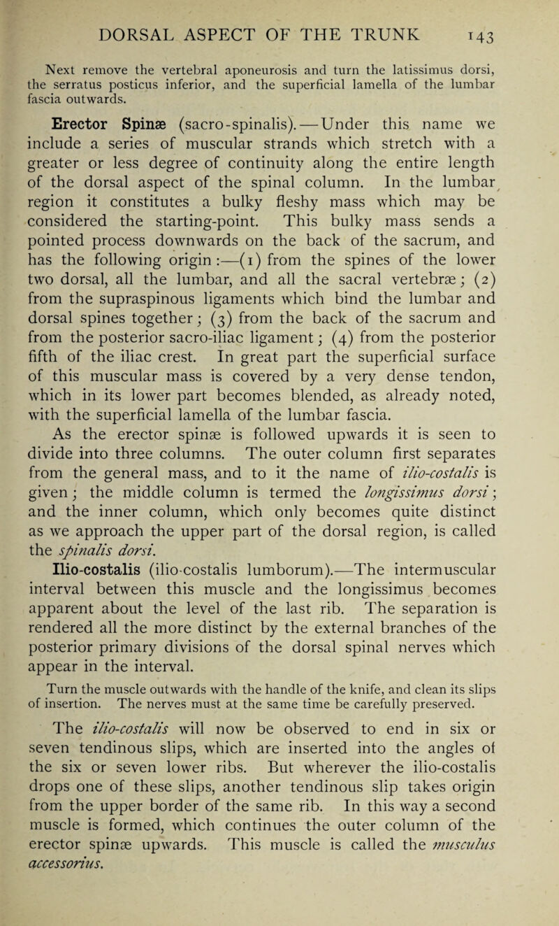 Next remove the vertebral aponeurosis and turn the latissimus dorsi, the serratus posticus inferior, and the superficial lamella of the lumbar fascia outwards. Erector Spinse (sacro-spinalis). — Under this name we include a series of muscular strands which stretch with a greater or less degree of continuity along the entire length of the dorsal aspect of the spinal column. In the lumbar region it constitutes a bulky fleshy mass which may be considered the starting-point. This bulky mass sends a pointed process downwards on the back of the sacrum, and has the following origin:—(i) from the spines of the lower two dorsal, all the lumbar, and all the sacral vertebrae; (2) from the supraspinous ligaments which bind the lumbar and dorsal spines together; (3) from the back of the sacrum and from the posterior sacro-iliac ligament; (4) from the posterior fifth of the iliac crest. In great part the superficial surface of this muscular mass is covered by a very dense tendon, which in its lower part becomes blended, as already noted, with the superficial lamella of the lumbar fascia. As the erector spinae is followed upwards it is seen to divide into three columns. The outer column first separates from the general mass, and to it the name of ilio-costalis is given ; the middle column is termed the longissimus dorsi; and the inner column, which only becomes quite distinct as we approach the upper part of the dorsal region, is called the spinalis dorsi. Ilio-costalis (ilio-costalis lumborum).-—The intermuscular interval between this muscle and the longissimus becomes apparent about the level of the last rib. The separation is rendered all the more distinct by the external branches of the posterior primary divisions of the dorsal spinal nerves which appear in the interval. Turn the muscle outwards with the handle of the knife, and clean its slips of insertion. The nerves must at the same time be carefully preserved. The ilio-costalis will now be observed to end in six or seven tendinous slips, which are inserted into the angles of the six or seven lower ribs. But wherever the ilio-costalis drops one of these slips, another tendinous slip takes origin from the upper border of the same rib. In this way a second muscle is formed, which continues the outer column of the erector spinse upwards. This muscle is called the musculus accessorius.