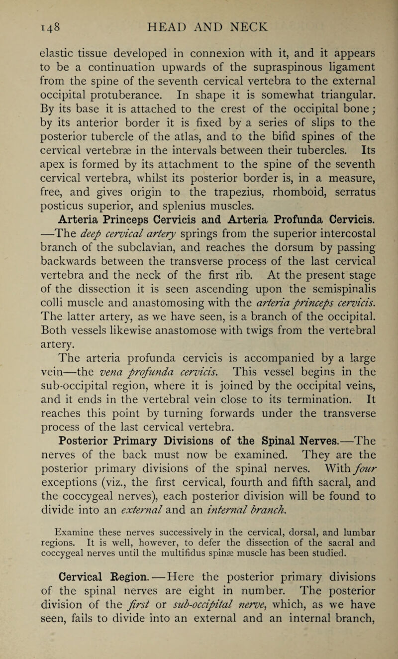 elastic tissue developed in connexion with it, and it appears to be a continuation upwards of the supraspinous ligament from the spine of the seventh cervical vertebra to the external occipital protuberance. In shape it is somewhat triangular. By its base it is attached to the crest of the occipital bone; by its anterior border it is fixed by a series of slips to the posterior tubercle of the atlas, and to the bifid spines of the cervical vertebrae in the intervals between their tubercles. Its apex is formed by its attachment to the spine of the seventh cervical vertebra, whilst its posterior border is, in a measure, free, and gives origin to the trapezius, rhomboid, serratus posticus superior, and splenius muscles. Arteria Princeps Cervicis and Arteria Profunda Cervicis. —The deep cervical artery springs from the superior intercostal branch of the subclavian, and reaches the dorsum by passing backwards between the transverse process of the last cervical vertebra and the neck of the first rib. At the present stage of the dissection it is seen ascending upon the semispinalis colli muscle and anastomosing with the arteria princeps cervicis. The latter artery, as we have seen, is a branch of the occipital. Both vessels likewise anastomose with twigs from the vertebral artery. The arteria profunda cervicis is accompanied by a large vein—the vena profunda cervicis. This vessel begins in the sub-occipital region, where it is joined by the occipital veins, and it ends in the vertebral vein close to its termination. It reaches this point by turning forwards under the transverse process of the last cervical vertebra. Posterior Primary Divisions of the Spinal Nerves.—The nerves of the back must now be examined. They are the posterior primary divisions of the spinal nerves. With four exceptions (viz., the first cervical, fourth and fifth sacral, and the coccygeal nerves), each posterior division will be found to divide into an external and an internal branch. Examine these nerves successively in the cervical, dorsal, and lumbar regions. It is well, however, to defer the dissection of the sacral and coccygeal nerves until the multifidus spinse muscle has been studied. Cervical Region.—Here the posterior primary divisions of the spinal nerves are eight in number. The posterior division of the first or sub-occipital nerve, which, as we have seen, fails to divide into an external and an internal branch,