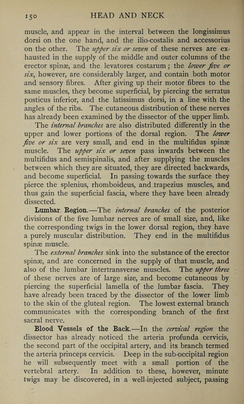 r5° muscle, and appear in the interval between the longissimus dorsi on the one hand, and the ilio-costalis and accessorius on the other. The upper six or seven of these nerves are ex¬ hausted in the supply of the middle and outer columns of the erector spinae, and the levatores costarum; the lower Jive or six, however, are considerably larger, and contain both motor and sensory fibres. After giving up their motor fibres to the same muscles, they become superficial, by piercing the serratus posticus inferior, and the latissimus dorsi, in a line with the angles of the ribs. The cutaneous distribution of these nerves has already been examined by the dissector of the upper limb. The internal branches are also distributed differently in the upper and lower portions of the dorsal region. The lower Jive or six are very small, and end in the multifidus spinae muscle. The upper six or seven pass inwards between the multifidus and semispinalis, and after supplying the muscles between which they are situated, they are directed backwards, and become superficial. In passing towards the surface they pierce the splenius, rhomboideus, and trapezius muscles, and thus gain the superficial fascia, where they have been already dissected. Lumbar Region.—The internal branches of the posterior divisions of the five lumbar nerves are of small size, and, like the corresponding twigs in the lower dorsal region, they have a purely muscular distribution. They end in the multifidus spinas muscle. The external branches sink into the substance of the erector spinae, and are concerned in the supply of that muscle, and also of the lumbar intertransverse muscles. The upper three of these nerves are of large size, and become cutaneous by piercing the superficial lamella of the lumbar fascia. They have already been traced by the dissector of the lower limb to the skin of the gluteal region. The lowest external branch communicates with the corresponding branch of the first sacral nerve. Blood Vessels of the Back.—In the cervical region the dissector has already noticed the arteria profunda cervicis, the second part of the occipital artery, and its branch termed the arteria princeps cervicis. Deep in the sub-occipital region he will subsequently meet with a small portion of the vertebral artery. In addition to these, however, minute twigs may be discovered, in a well-injected subject, passing