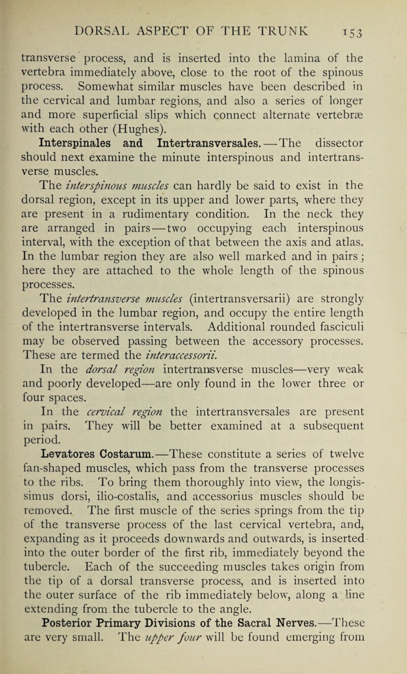 T53 transverse process, and is inserted into the lamina of the vertebra immediately above, close to the root of the spinous process. Somewhat similar muscles have been described in the cervical and lumbar regions, and also a series of longer and more superficial slips which connect alternate vertebrae with each other (Hughes). Interspinales and Intertransversales.—The dissector should next examine the minute interspinous and intertrans- verse muscles. The interspinous muscles can hardly be said to exist in the dorsal region, except in its upper and lower parts, where they are present in a rudimentary condition. In the neck they are arranged in pairs — two occupying each interspinous interval, with the exception of that between the axis and atlas. In the lumbar region they are also well marked and in pairs; here they are attached to the whole length of the spinous processes. The intertransverse muscles (intertransversarii) are strongly developed in the lumbar region, and occupy the entire length of the intertransverse intervals. Additional rounded fasciculi may be observed passing between the accessory processes. These are termed the interaccessorii\ In the dorsal region intertransverse muscles—very weak and poorly developed—are only found in the lower three or four spaces. In the cervical region the intertransversales are present in pairs. They will be better examined at a subsequent period. Levatores Costarum.—These constitute a series of twelve fan-shaped muscles, which pass from the transverse processes to the ribs. To bring them thoroughly into view, the longis- simus dorsi, ilio-costalis, and accessorius muscles should be removed. The first muscle of the series springs from the tip of the transverse process of the last cervical vertebra, and, expanding as it proceeds downwards and outwards, is inserted into the outer border of the first rib, immediately beyond the tubercle. Each of the succeeding muscles takes origin from the tip of a dorsal transverse process, and is inserted into the outer surface of the rib immediately below, along a line extending from the tubercle to the angle. Posterior Primary Divisions of the Sacral Nerves.—These are very small. The upper four will be found emerging from