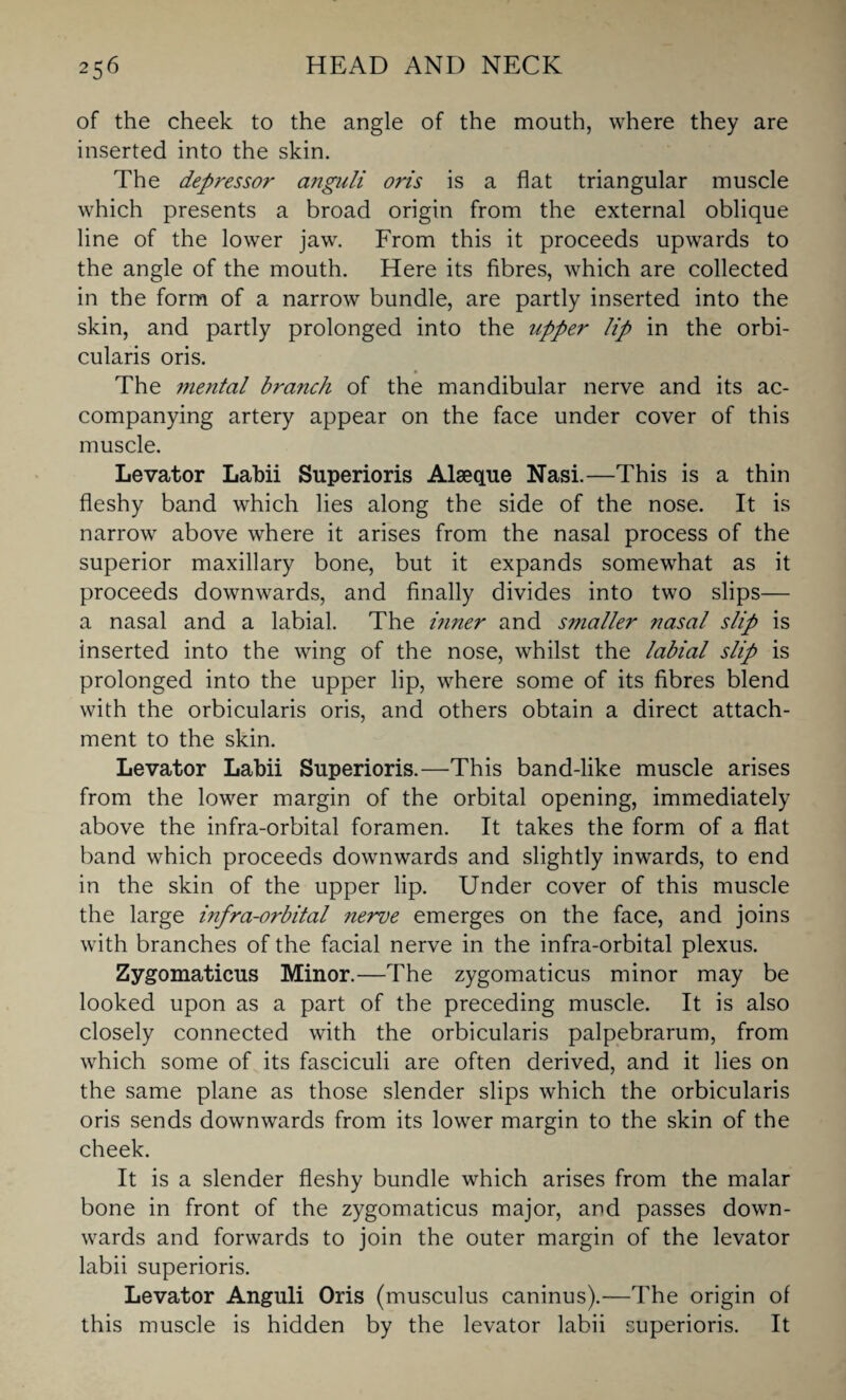 of the cheek to the angle of the mouth, where they are inserted into the skin. The depressor angidi oris is a flat triangular muscle which presents a broad origin from the external oblique line of the lower jaw. From this it proceeds upwards to the angle of the mouth. Here its fibres, which are collected in the form of a narrow bundle, are partly inserted into the skin, and partly prolonged into the upper lip in the orbi¬ cularis oris. The 7nental branch of the mandibular nerve and its ac¬ companying artery appear on the face under cover of this muscle. Levator Labii Superioris Alseque Nasi.—This is a thin fleshy band which lies along the side of the nose. It is narrow above where it arises from the nasal process of the superior maxillary bone, but it expands somewhat as it proceeds downwards, and finally divides into two slips— a nasal and a labial. The inner and smaller nasal slip is inserted into the wing of the nose, whilst the labial slip is prolonged into the upper lip, where some of its fibres blend with the orbicularis oris, and others obtain a direct attach¬ ment to the skin. Levator Labii Superioris.—This band-like muscle arises from the lower margin of the orbital opening, immediately above the infra-orbital foramen. It takes the form of a flat band which proceeds downwards and slightly inwards, to end in the skin of the upper lip. Under cover of this muscle the large infra-orbital nerve emerges on the face, and joins with branches of the facial nerve in the infra-orbital plexus. Zygomaticus Minor.—The zygomaticus minor may be looked upon as a part of the preceding muscle. It is also closely connected with the orbicularis palpebrarum, from which some of its fasciculi are often derived, and it lies on the same plane as those slender slips which the orbicularis oris sends downwards from its lower margin to the skin of the cheek. It is a slender fleshy bundle which arises from the malar bone in front of the zygomaticus major, and passes down¬ wards and forwards to join the outer margin of the levator labii superioris. Levator Anguli Oris (musculus caninus).—The origin of this muscle is hidden by the levator labii superioris. It