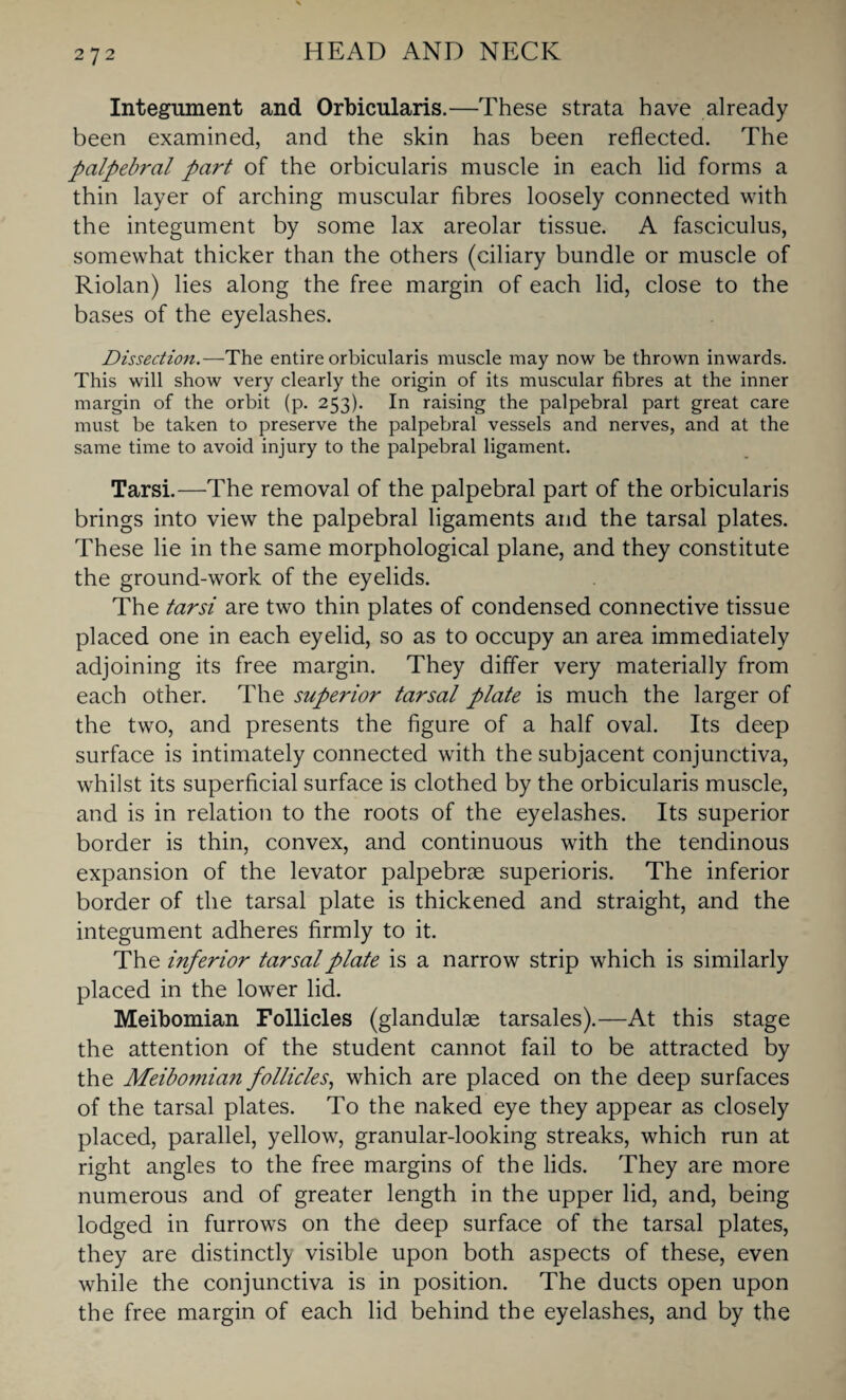 Integument and Orbicularis.—These strata have already been examined, and the skin has been reflected. The palpebral part of the orbicularis muscle in each lid forms a thin layer of arching muscular fibres loosely connected with the integument by some lax areolar tissue. A fasciculus, somewhat thicker than the others (ciliary bundle or muscle of Riolan) lies along the free margin of each lid, close to the bases of the eyelashes. Dissection.—The entire orbicularis muscle may now be thrown inwards. This will show very clearly the origin of its muscular fibres at the inner margin of the orbit (p. 253). In raising the palpebral part great care must be taken to preserve the palpebral vessels and nerves, and at the same time to avoid injury to the palpebral ligament. Tarsi.—The removal of the palpebral part of the orbicularis brings into view the palpebral ligaments and the tarsal plates. These lie in the same morphological plane, and they constitute the ground-work of the eyelids. The tarsi are two thin plates of condensed connective tissue placed one in each eyelid, so as to occupy an area immediately adjoining its free margin. They differ very materially from each other. The superior tarsal plate is much the larger of the two, and presents the figure of a half oval. Its deep surface is intimately connected with the subjacent conjunctiva, whilst its superficial surface is clothed by the orbicularis muscle, and is in relation to the roots of the eyelashes. Its superior border is thin, convex, and continuous with the tendinous expansion of the levator palpebrse superioris. The inferior border of the tarsal plate is thickened and straight, and the integument adheres firmly to it. The inferior tarsal plate is a narrow strip which is similarly placed in the lower lid. Meibomian Follicles (glandulse tarsales).—At this stage the attention of the student cannot fail to be attracted by the Meibomian follicles, which are placed on the deep surfaces of the tarsal plates. To the naked eye they appear as closely placed, parallel, yellow, granular-looking streaks, which run at right angles to the free margins of the lids. They are more numerous and of greater length in the upper lid, and, being lodged in furrows on the deep surface of the tarsal plates, they are distinctly visible upon both aspects of these, even while the conjunctiva is in position. The ducts open upon the free margin of each lid behind the eyelashes, and by the