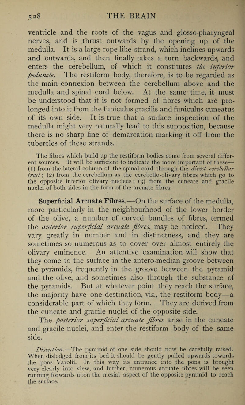 ventricle and the roots of the vagus and glosso-pharyngeal nerves, and is thrust outwards by the opening up of the medulla. It is a large rope-like strand, which inclines upwards and outwards, and then finally takes a turn backwards, and enters the cerebellum, of which it constitutes the inferior peduncle. The restiform body, therefore, is to be regarded as the main connexion between the cerebellum above and the medulla and spinal cord below. At the same time, it must be understood that it is not formed of fibres which are pro¬ longed into it from the funiculus gracilis and funiculus cuneatus of its own side. It is true that a surface inspection of the medulla might very naturally lead to this supposition, because there is no sharp line of demarcation marking it off from the tubercles of these strands. The fibres which build up the restiform bodies come from several differ¬ ent sources. It will be sufficient to indicate the more important of these— (i) from the lateral column of the spinal cord through the direct cerebellar tract; (2) from the cerebellum as the cerebello-olivary fibres which go to the opposite inferior olivary nucleus ; (3) from the cuneate and gracile nuclei of both sides in the form of the arcuate fibres. Superficial Arcuate Fibres.—On the surface of the medulla, more particularly in the neighbourhood of the lower border of the olive, a number of curved bundles of fibres, termed the anterior superficial arcuate fibres, may be noticed. They vary greatly in number and in distinctness, and they are sometimes so numerous as to cover over almost entirely the olivary eminence. An attentive examination will show that they come to the surface in the antero-median groove between the pyramids, frequently in the groove between the pyramid and the olive, and sometimes also through the substance of the pyramids. But at whatever point they reach the surface, the majority have one destination, viz., the restiform body—a considerable part of which they form. They are derived from the cuneate and gracile nuclei of the opposite side. The posterior superficial arcuate fibres arise in the cuneate and gracile nuclei, and enter the restiform body of the same side. Dissection.—The pyramid of one side should now be carefully raised. When dislodged from its bed it should be gently pulled upwards towards the pons Varolii. In this way its entrance into the pons is brought very clearly into view, and further, numerous arcuate fibres will be seen running forwards upon the mesial aspect of the opposite pyramid to reach the surface.