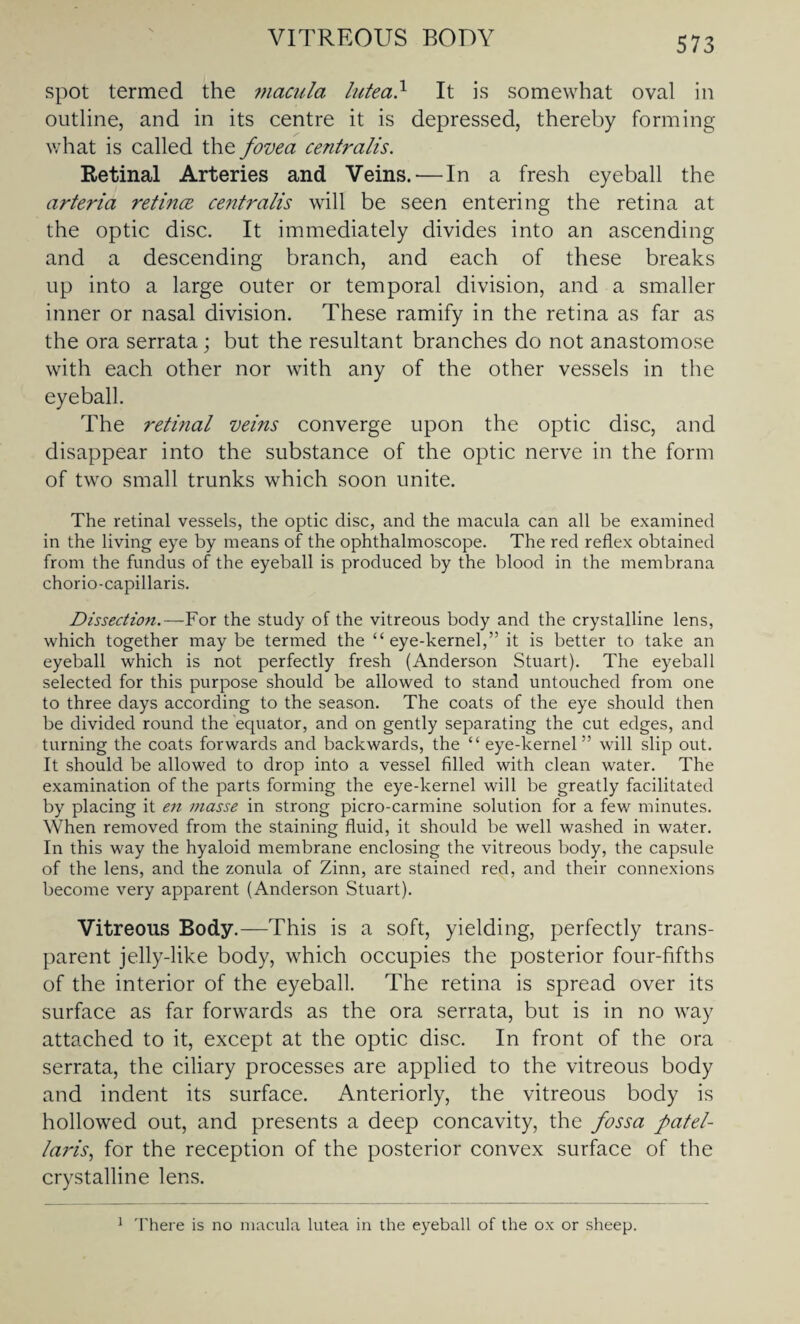 VITREOUS BODY spot termed the macula lutea} It is somewhat oval in outline, and in its centre it is depressed, thereby forming what is called the fovea centralis. Retinal Arteries and Veins. — In a fresh eyeball the arteria retinae centralis will be seen entering the retina at the optic disc. It immediately divides into an ascending and a descending branch, and each of these breaks up into a large outer or temporal division, and a smaller inner or nasal division. These ramify in the retina as far as the ora serrata; but the resultant branches do not anastomose with each other nor with any of the other vessels in the eyeball. The retinal veins converge upon the optic disc, and disappear into the substance of the optic nerve in the form of two small trunks which soon unite. The retinal vessels, the optic disc, and the macula can all be examined in the living eye by means of the ophthalmoscope. The red reflex obtained from the fundus of the eyeball is produced by the blood in the membrana chorio-capillaris. Dissection.—For the study of the vitreous body and the crystalline lens, which together may be termed the “eye-kernel,” it is better to take an eyeball which is not perfectly fresh (Anderson Stuart). The eyeball selected for this purpose should be allowed to stand untouched from one to three days according to the season. The coats of the eye should then be divided round the equator, and on gently separating the cut edges, and turning the coats forwards and backwards, the “eye-kernel” will slip out. It should be allowed to drop into a vessel filled with clean water. The examination of the parts forming the eye-kernel will be greatly facilitated by placing it en masse in strong picro-carmine solution for a few minutes. When removed from the staining fluid, it should be well washed in water. In this way the hyaloid membrane enclosing the vitreous body, the capsule of the lens, and the zonula of Zinn, are stained red, and their connexions become very apparent (Anderson Stuart). Vitreous Body.—This is a soft, yielding, perfectly trans¬ parent jelly-like body, which occupies the posterior four-fifths of the interior of the eyeball. The retina is spread over its surface as far forwards as the ora serrata, but is in no way attached to it, except at the optic disc. In front of the ora serrata, the ciliary processes are applied to the vitreous body and indent its surface. Anteriorly, the vitreous body is hollowed out, and presents a deep concavity, the fossa patel- laris, for the reception of the posterior convex surface of the crystalline lens. 1 There is no macula lutea in the eyeball of the ox or sheep.