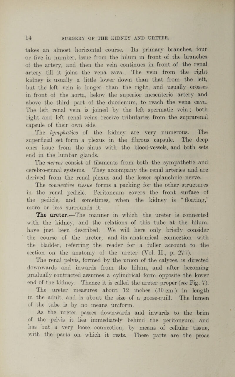 takes an almost horizontal course. Its primary branches, four or five in number, issue from the hilum in front of the branches of the arterv, and then the vein continues in front of the renal «/ ' artery till it joins the vena cava. The vein from the right kidnev is usuallv a little lower down than that from the left, but the left vein is longer than the right, and usually crosses in front of the aorta, below the superior mesenteric artery and above the third part of the duodenum, to reach the vena cava. The left renal vein is joined by the left spermatic vein; both right and left renal veins receive tributaries from the suprarenal capsule of their own side. The lymphatics of the kidney are very numerous. The superficial set form a plexus in the fibrous capsule. The deep ones issue from the sinus with the blood-vessels, and both sets end in the lumbar glands. The nerves consist of filaments from both the sympathetic and cerebro-spinal svstems. Thev accompanv the renal arteries and are derived from the renal plexus and the lesser splanchnic nerve. The connective tissue forms a packing for the other structures in the renal pedicle. Peritoneum covers the front surface of the pedicle, and sometimes, when the kidney is “ floating,” more or less surrounds it. The ureter.—The manner in which the ureter is connected with the kidney, and the relations of this tube at the hilum, have just been described. We will here only briefly consider the course of the ureter, and its anatomical connection with the bladder, referring the reader for a fuller account to the section on the anatomy of the ureter (Yol. II., p. 277). The renal pelvis, formed by the union of the calyces, is directed downwards and inwards from the hilum, and after becoming gradually contracted assumes a cylindrical form opposite the lower end of the kidney. Thence it is called the ureter proper (see Fig. 7). The ureter measures about 12 inches (30 cm.) in length in the adult, and is about the size of a goose-quill. The lumen of the tube is by no means uniform. As the ureter passes downwards and inwards to the brim of the pelvis it lies immediately behind the peritoneum, and has but a very loose connection, by means of cellular tissue, with the parts on which it rests. These parts are the psoas