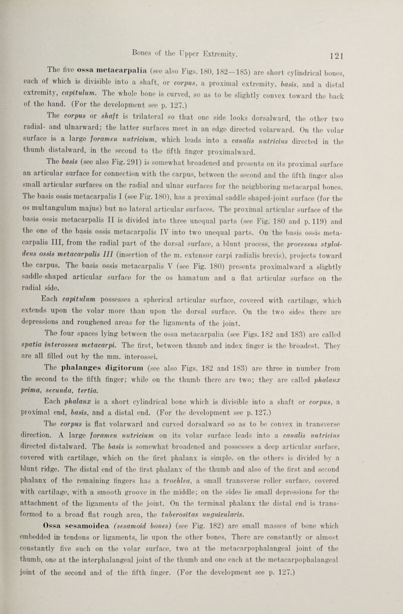The five ossa metacarpalia (see also Figs. 180, 182-185) are short cylindrical bones, each of which is divisible into a shaft, or corpus, a proximal extremity, basis, and a distal extremity, capitulum. Ihe whole bone is curved, so as to be slightly convex toward the back of the hand. (For the development see p. 127.) Ihe corpus or shaft is trilateral so that one side looks dorsalward, the other two radial- and ulnarward; the latter surfaces meet in an edge directed volarward. On the volar surface is a laige foramen nutricium, which leads into a canalis nutricius directed in the thumb distalward, in the second to the fifth finger proximalward. The basis (see also Fig. 291) is somewhat broadened and presents on its proximal surface an articular surface for connection with the carpus, between the second and the fifth finger also small articular surfaces on the radial and ulnar surfaces for the neighboring metacarpal bones. The basis ossis metacarpalis I (see Fig. 180), has a proximal saddle shaped-joint surface (for the os multangulum majus) but no lateral articular surfaces. The proximal articular surface of the basis ossis metacarpalis II is divided into three unequal parts (see Fig. 180 and p. 119) and the one of the basis ossis metacarpalis IV into two unequal parts. On the basis ossis meta¬ carpalis III, from the radial part of the dorsal surface, a blunt process, the processus styloi- deus ossis metacarpalis 111 (insertion of the m. extensor carpi radialis brevis), projects toward the carpus. The basis ossis metacarpalis V (see Fig. 180) presents proximalward a slightly saddle-shaped articular surface for the os hamatum and a flat articular surface on the radial side. Each capitulum possesses a spherical articular surface, covered with cartilage, which extends upon the volar more than upon the dorsal surface. On the two sides there are depressions and roughened areas for the ligaments of the joint. The four spaces lying between the ossa metacarpalia (see Figs. 182 and 183) are called spatia interossea metacarpi. The first, between thumb and index finger is the broadest. They are all filled out by the mm. interossei. The phalanges tligitorum (see also Figs. 182 and 183) are three in number from the second to the fifth finger; while on the thumb there are two; they are called phalanx prima, secunda, tertia. Each phalanx is a short cylindrical bone which is divisible into a shaft or corpus, a proximal end, basis, and a distal end. (For the development see p. 127.) The corpus is flat volarward and curved dorsalward so as to be convex in transverse direction. A large foramen nutricium on its volar surface leads into a canalis nutricius directed distalward. The basis is somewhat broadened and possesses a deep articular surface, covered with cartilage, which on the first phalanx is simple, on the others is divided by a blunt ridge. The distal end of the first phalanx of the thumb and also of the first and second phalanx of the remaining fingers has a trochlea, a small transverse roller surface, covered with cartilage, with a smooth groove in the middle; on the sides lie small depressions for the attachment of the ligaments of the joint. On the terminal phalanx the distal end is trans¬ formed to a broad flat rough area, the tuberositas unguicularis. Ossa sesamoidea (sesamoid bones) (see Fig. 182) are small masses of bone which embedded in tendons or ligaments, lie upon the other bones. There are constantly or almost constantly five such on the volar surface, two at the metacarpophalangeal joint of the thumb, one at the interphalangeal joint of the thumb and one each at the metacarpophalangeal joint of the second and of the fifth finger. (For the development see p. 127.)