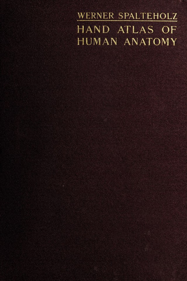 digitised image 1
