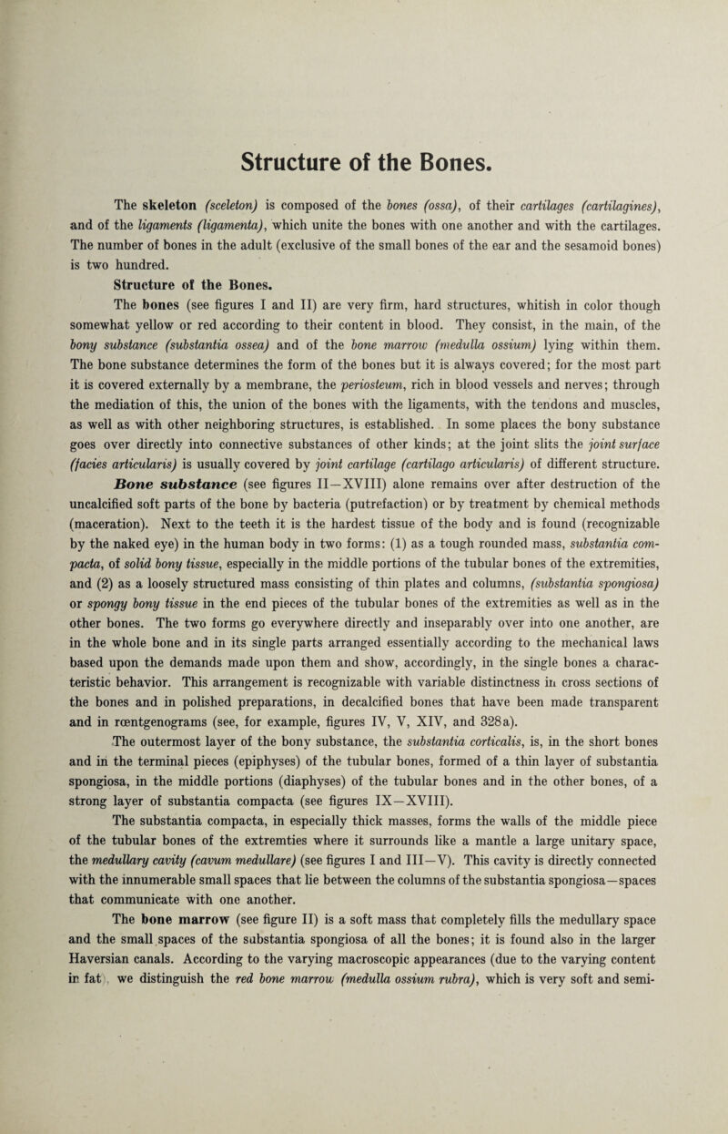 Structure of the Bones The skeleton (sceleton) is composed of the bones (ossa), of their cartilages (cartilagines), and of the ligaments (ligamenta), which unite the bones with one another and with the cartilages. The number of bones in the adult (exclusive of the small bones of the ear and the sesamoid bones) is two hundred. Structure of the Bones. The bones (see figures I and II) are very firm, hard structures, whitish in color though somewhat yellow or red according to their content in blood. They consist, in the main, of the bony substance (substantia os sea) and of the bone marrow (medulla ossium) lying within them. The bone substance determines the form of the bones but it is always covered; for the most part it is covered externally by a membrane, the periosteum, rich in blood vessels and nerves; through the mediation of this, the union of the bones with the ligaments, with the tendons and muscles, as well as with other neighboring structures, is established. In some places the bony substance goes over directly into connective substances of other kinds; at the joint slits the joint surface (facies articularis) is usually covered by joint cartilage (cartilago articularis) of different structure. Bone substance (see figures II—XVIII) alone remains over after destruction of the uncalcified soft parts of the bone by bacteria (putrefaction) or by treatment by chemical methods (maceration). Next to the teeth it is the hardest tissue of the body and is found (recognizable by the naked eye) in the human body in two forms: (1) as a tough rounded mass, substantia com- pacta, of solid bony tissue, especially in the middle portions of the tubular bones of the extremities, and (2) as a loosely structured mass consisting of thin plates and columns, (substantia spongiosa) or spongy bony tissue in the end pieces of the tubular bones of the extremities as well as in the other bones. The two forms go everywhere directly and inseparably over into one another, are in the whole bone and in its single parts arranged essentially according to the mechanical laws based upon the demands made upon them and show, accordingly, in the single bones a charac¬ teristic behavior. This arrangement is recognizable with variable distinctness in cross sections of the bones and in polished preparations, in decalcified bones that have been made transparent and in roentgenograms (see, for example, figures IV, V, XIV, and 328 a). The outermost layer of the bony substance, the substantia corticalis, is, in the short bones and in the terminal pieces (epiphyses) of the tubular bones, formed of a thin layer of substantia spongiosa, in the middle portions (diaphyses) of the tubular bones and in the other bones, of a strong layer of substantia compacta (see figures IX—XVIII). The substantia compacta, in especially thick masses, forms the walls of the middle piece of the tubular bones of the extremties where it surrounds like a mantle a large unitary space, the medullary cavity (cavum medulläre) (see figures I and III—V). This cavity is directly connected with the innumerable small spaces that lie between the columns of the substantia spongiosa—spaces that communicate with one another. The bone marrow (see figure II) is a soft mass that completely fills the medullary space and the small spaces of the substantia spongiosa of all the bones; it is found also in the larger Haversian canals. According to the varying macroscopic appearances (due to the varying content in fat we distinguish the red bone marrow (medulla ossium rubra), which is very soft and semi-
