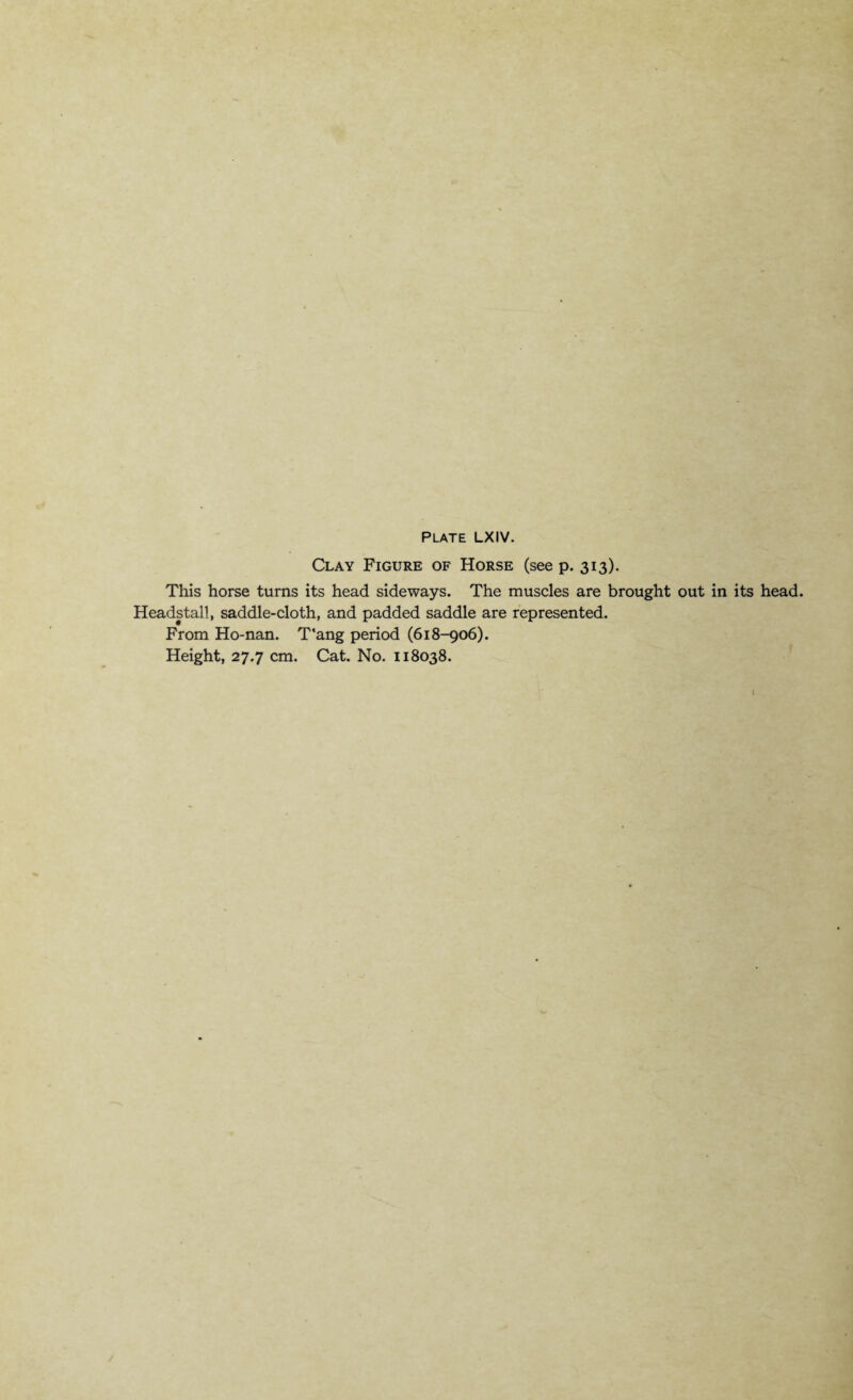 Clay Figure of Horse (see p. 313). This horse turns its head sideways. The muscles are brought out in its head. Headstall, saddle-cloth, and padded saddle are represented. From Ho-nan. T'ang period (618-906). Height, 27.7 cm. Cat. No. 118038. \
