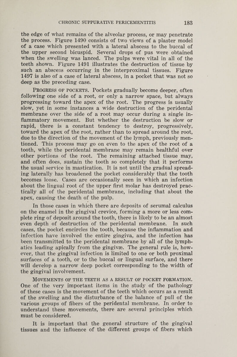the edge of what remains of the alveolar process, or may penetrate the process. Figure 1490 consists of two views of a plaster model of a case which presented with a lateral abscess to the buccal of the upper second bicuspid. Several drops of pus were obtained when the swelling was lanced. The pulps were vital in all of the teeth shown. Figure 1491 illustrates the destruction of tissue by such an abscess occurring in the interproximal tissues. Figure 1497 is also of a case of lateral abscess, in a pocket that was not so deep as the preceding case. Progress of pockets. Pockets gradually become deeper, often following one side of a root, or only a narrow space, but always progressing toward the apex of the root. The progress is usually slow, yet in some instances a wide destruction of the peridental membrane over the side of a root may occur during a single in¬ flammatory movement. But whether the destruction be slow or rapid, there is a constant tendency to destroy, progressively, toward the apex of the root, rather than to spread around the root, due to the direction of the movement of the lymph, previously men¬ tioned. This process may go on even to the apex of the root of a tooth, while the peridental membrane may remain healthful over other portions of the root. The remaining attached tissue may, and often does, sustain the tooth so completely that it performs the usual service in mastication. It is not until the gradual spread¬ ing laterally has broadened the pocket considerably that the tooth becomes loose. Cases are occasionally seen in which an infection about the lingual root of the upper first molar has destroyed prac¬ tically all of the peridental membrane, including that about the apex, causing the death of the pulp. i In those cases in which there are deposits of serumal calculus on the enamel in the gingival crevice, forming a more or less com¬ plete ring of deposit around the tooth, there is likely to be an almost even depth of destruction of the peridental membrane. In such cases, the pocket encircles the tooth, because the inflammation and infection have involved the entire gingiva, and the infection has been transmitted to the peridental membrane by all of the lymph¬ atics leading apically from the gingivae. The general rule is, how¬ ever, that the gingival infection is limited to one or both proximal surfaces of a tooth, or to the buccal or lingual surface, and there will develop a narrow deep pocket corresponding to the width of the gingival involvement. Movements of the teeth as a result of pocket formation. One of the very important items in the study of the pathology of these cases is the movement of the teeth which occurs as a result of the swelling and the disturbance of the balance of pull of the various groups of fibers of the peridental membrane. In order to understand these movements, there are several principles which must be considered. It is important that the general structure of the gingival tissues and the influence of the different groups of fibers which