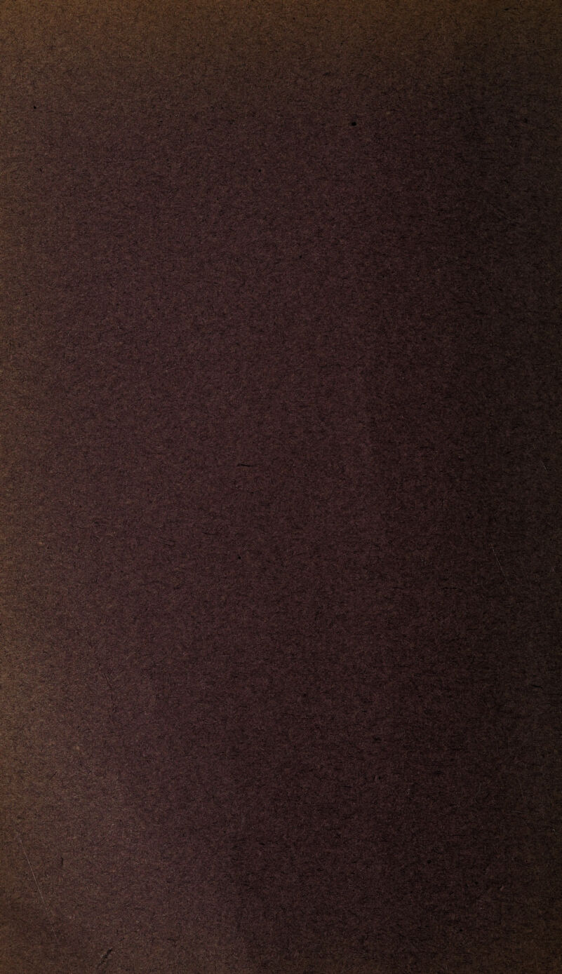 • t - L -:•' •'•S» P WSf