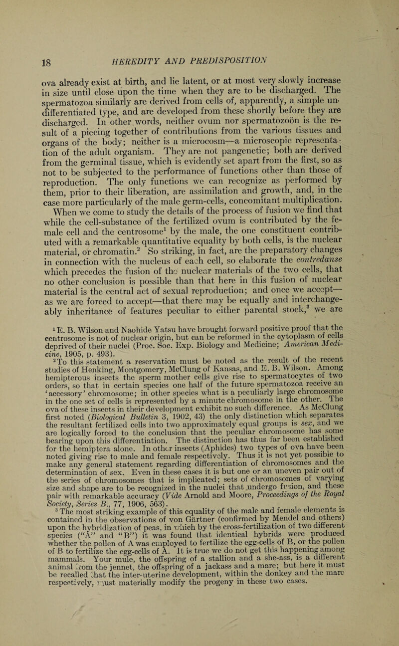 ova already exist at birth, and lie latent, or at most very slowly increase in size until close upon the time when they are to be discharged. The spermatozoa similarly are derived from cells of, apparently, a simple un¬ differentiated type, and are developed from these shortly before they are discharged. In other words, neither ovum nor spermatozoon is the re¬ sult of a piecing together of contributions from the various tissues and organs of the body; neither is a microcosm—a microscopic representa¬ tion of the adult organism. They are not pangenetic; both are derived from the germinal tissue, which is evidently set apart from the first, so as not to be subjected to the performance of functions other than those of reproduction. The only functions we can recognize as performed by them, prior to their liberation, are assimilation and growth, and, in the case more particularly of the male germ-cells, concomitant multiplication. When we come to study the details of the process of fusion we find that while the cell-substance of the fertilized ovum is contributed by the fe¬ male cell and the centrosome1 by the male, the one constituent contrib¬ uted with a remarkable quantitative equality by both cells, is the nuclear material, or chromatin.2 So striking, in fact, are the preparatory changes in connection with the nucleus of each cell, so elaborate the contredanse which precedes the fusion of the nuclear materials of the two cells, that no other conclusion is possible than that here in this fusion of nuclear material is the central act of sexual reproduction; and once we accept as we are forced to accept—that there may be equally and interchange¬ ably inheritance of features peculiar to either parental stock,3 we are 1E. B. Wilson and Naohide Yatsu have brought forward positive proof that the centrosome is not of nuclear origin, but can be reformed in the cytoplasm of cells deprived of their nuclei (Proc. Soc. Exp. Biology and Medicine; American Medi¬ cine, 1905, p. 493). 2 To this statement a reservation must be noted as the result of the recent studies of Henking, Montgomery, McClung of Kansas, and E. B. Wilson. Among hemipterous insects the sperm mother cells give rise to spermatocytes of two orders, so that in certain species one half of the future spermatozoa receive an ‘accessory’ chromosome; in other species what is a peculiarly large chromosome in the one set of cells is represented by a minute chromosome in the other. The ova of these insects in their development exhibit no such difference. As McClung first noted (Biological Bulletin 3, 1902, 43) the only distinction which separates the resultant fertilized cells into two approximately equal groups is sex, and we are logically forced to the conclusion that the peculiar chromosome has some bearing upon this differentiation. The distinction has thus far been established for the hemiptera alone. In other insects (Aphides) two types of ova have been noted giving rise to male and female respectively. Thus it is not yet possible to make any general statement regarding differentiation of chromosomes and the determination of sex. Even in these cases it is but one or an uneven pair out of the series of chromosomes that is implicated; sets of chromosomes of varying size and shape are to be recognized in the nuclei that undergo fusion, and these pair with remarkable accuracy (Vide Arnold and Moore, Proceedings of the Royal Society, Series B., 77, 1906, 563). 3 The most striking example of this equality of the male and female elements is contained in the observations of von Gartner (confirmed by Mendel and others) upon the hybridization of peas, in v/hich by the cross-fertilization of two different species (“A” and “B”) it was found that identical hybrids were produced whether the pollen of A was employed to fertilize the egg-cells of B, or the pollen of B to fertilize the egg-cells of A. It is true we do not get this happening among mammals. Your mule, the offspring of a stallion and a she-ass, is a different animal from the jennet, the offspring of a jackass and a mare; but here it must be recalled fhat the inter-uterine development, within the donkey and the marc respectively, must materially modify the progeny in these two cases.
