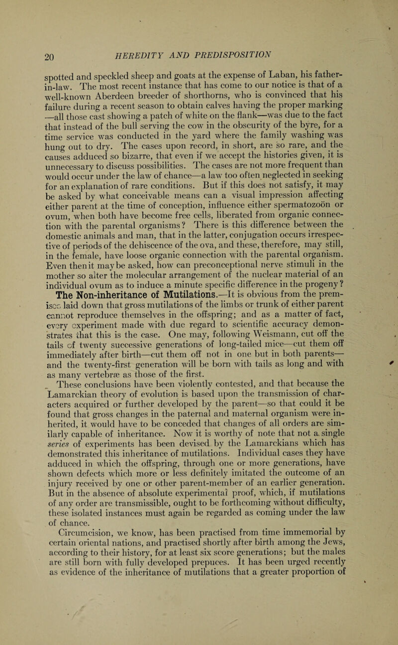 spotted and speckled sheep and goats at the expense of Laban, his father- in-law. The most recent instance that has come to our notice is that of a well-known Aberdeen breeder of shorthorns, who is convinced that his failure during a recent season to obtain calves having the proper marking —all those cast showing a patch of white on the flank—was due to the fact that instead of the bull serving the cow in the obscurity of the byre, for a time service was conducted in the yard where the family washing was hung out to dry. The cases upon record, in short, are so rare, and the causes adduced so bizarre, that even if we accept the histories given, it is unnecessary to discuss possibilities. The cases are not more frequent than would occur under the law of chance—a law too often neglected in seeking for an explanation of rare conditions. But if this does not satisfy, it may be asked by what conceivable means can a visual impression affecting either parent at the time of conception, influence either spermatozoon or ovum, when both have become free cells, liberated from organic connec¬ tion with the parental organisms ? There is this difference between the domestic animals and man, that in the latter, conjugation occurs irrespec¬ tive of periods of the dehiscence of the ova, and these, therefore, may still, in the female, have loose organic connection with the parental organism. Even then it maybe asked, how can preconceptional nerve stimuli in the mother so alter the molecular arrangement of the nuclear material of an individual ovum as to induce a minute specific difference in the progeny ? The Non-inheritance of Mutilations.—It is obvious from the prem¬ ises laid down that gross mutilations of the limbs or trunk of either parent cannot reproduce themselves in the offspring; and as a matter of fact, every experiment made with due regard to scientific accuracy demon¬ strates that this is the case. One may, following Weismann, cut off the tails of twenty successive generations of long-tailed mice—cut them off immediately after birth—cut them off not in one but in both parents and the twenty-first generation will be born with tails as long and with as many vertebrae as those of the first. These conclusions have been violently contested, and that because the Lamarckian theory of evolution is based upon the transmission of char¬ acters acquired or further developed by the parent—so that could it be found that gross changes in the paternal and maternal organism were in¬ herited, it would have to be conceded that changes of all orders are sim¬ ilarly capable of inheritance. Now it is worthy of note that not a. single series of experiments has been devised by the Lamarckians which has demonstrated this inheritance of mutilations. Individual cases they have adduced in which the offspring, through one or more generations, have shown defects which more or less definitely imitated the outcome of an injury received by one or other parent-member of an earlier generation. But in the absence of absolute experimental proof, which, if mutilations of any order are transmissible, ought to be forthcoming without difficulty, these isolated instances must again be regarded as coming under the law of chance. Circumcision, we know, has been practised from time immemorial by certain oriental nations, and practised shortly after birth among the Jews, according to their history, for at least six score generations; but the males are still born with fully developed prepuces. It has been urged recently as evidence of the inheritance of mutilations that a greater proportion of